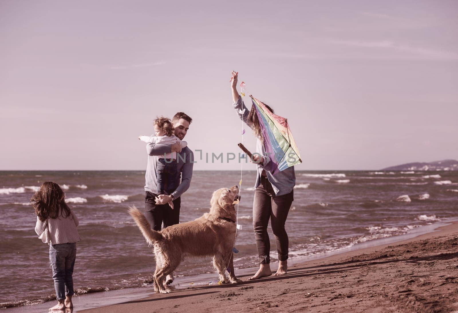 happy young family with kids having fun with a dog and  kite at beach during autumn day filter