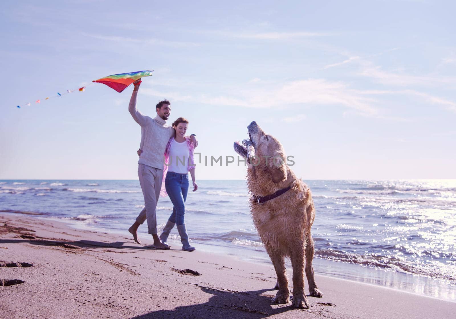 Young Couple having fun playing with a dog and Kite on the beach at autumn day filter