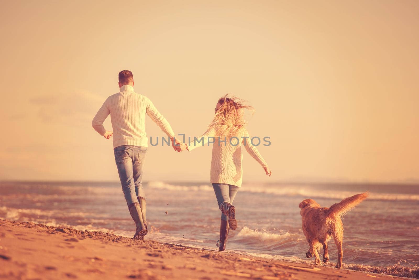 Couple Running On The Beach Holding Their Hands with dog On autmun day