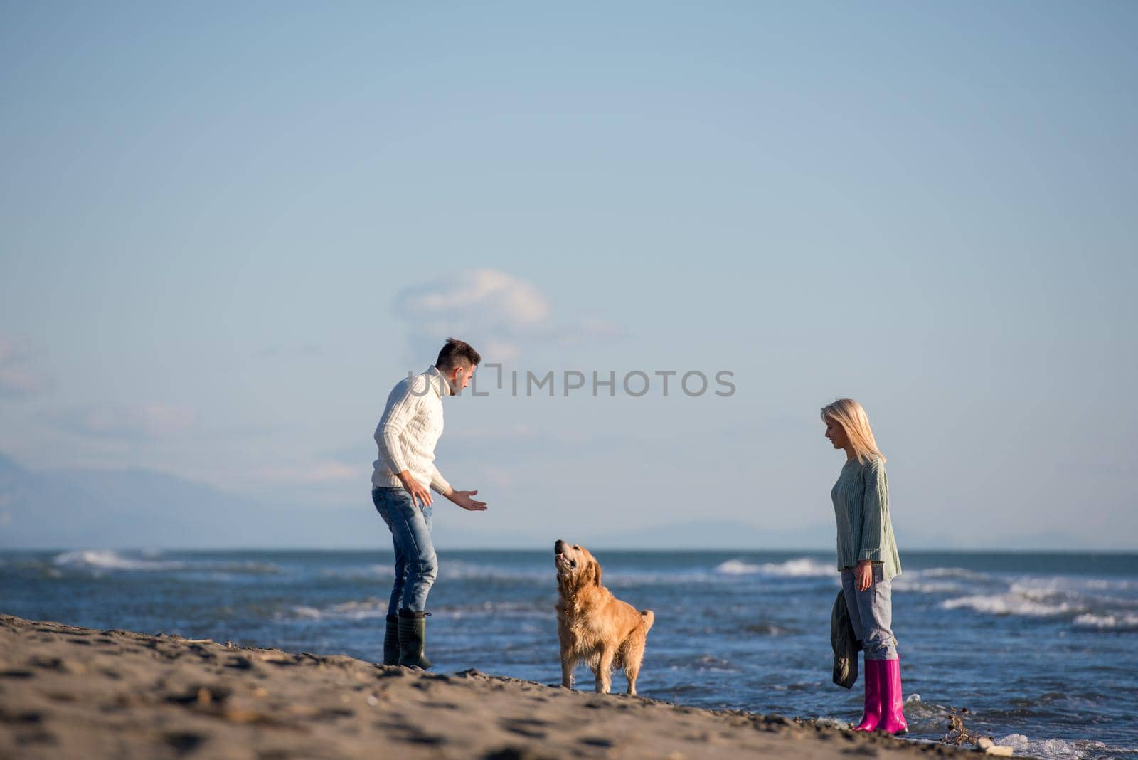 couple with dog having fun on beach on autmun day by dotshock