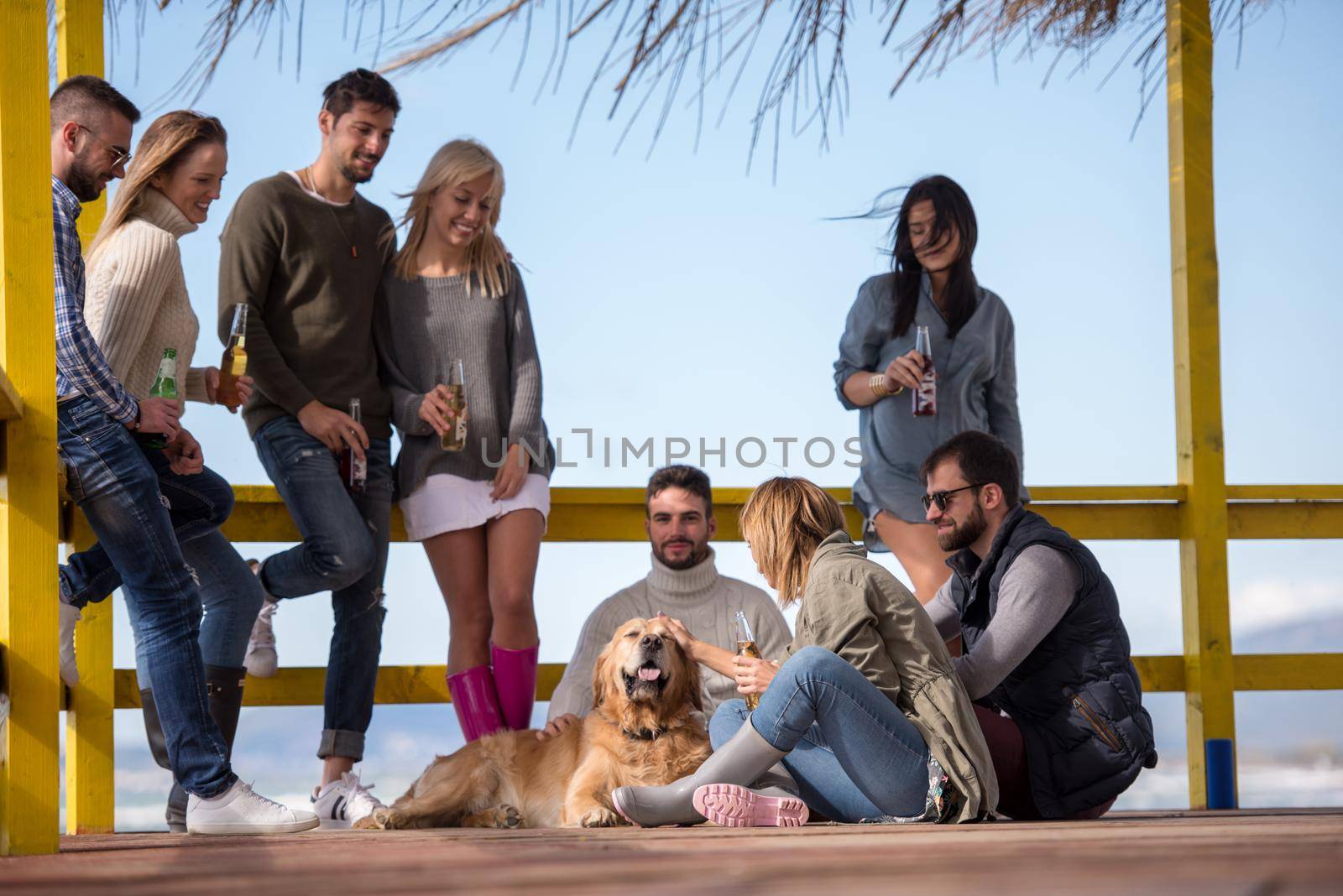 Group of friends having fun on autumn day at beach by dotshock