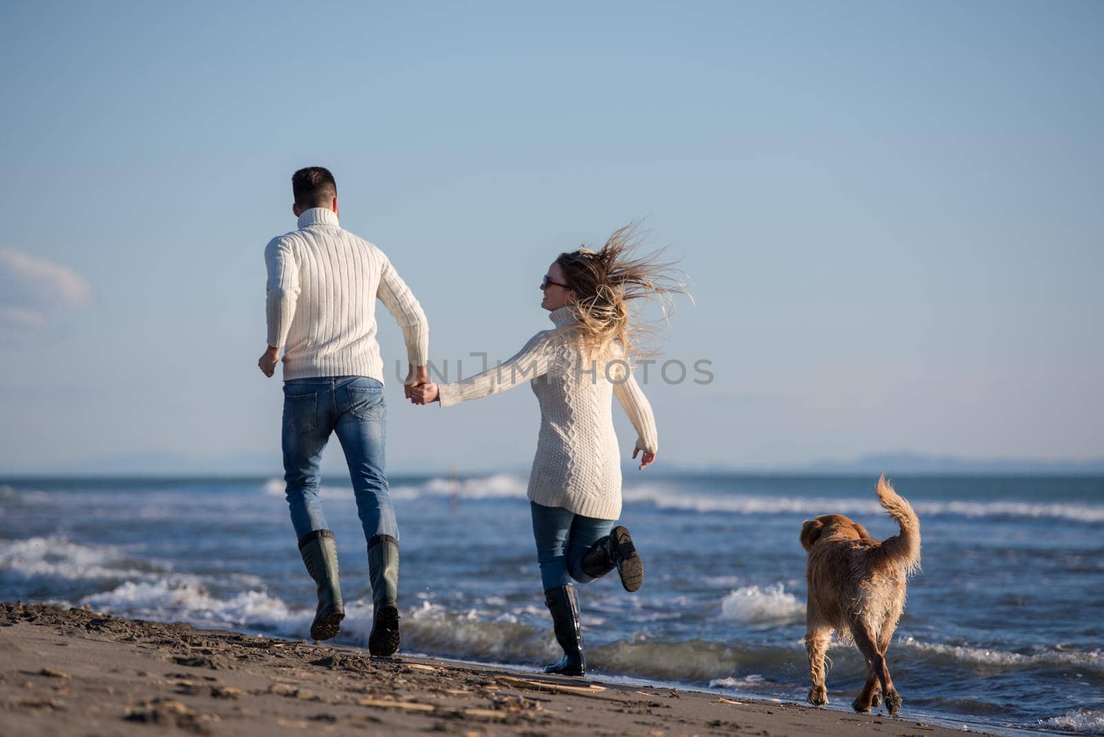 couple with dog having fun on beach on autmun day by dotshock