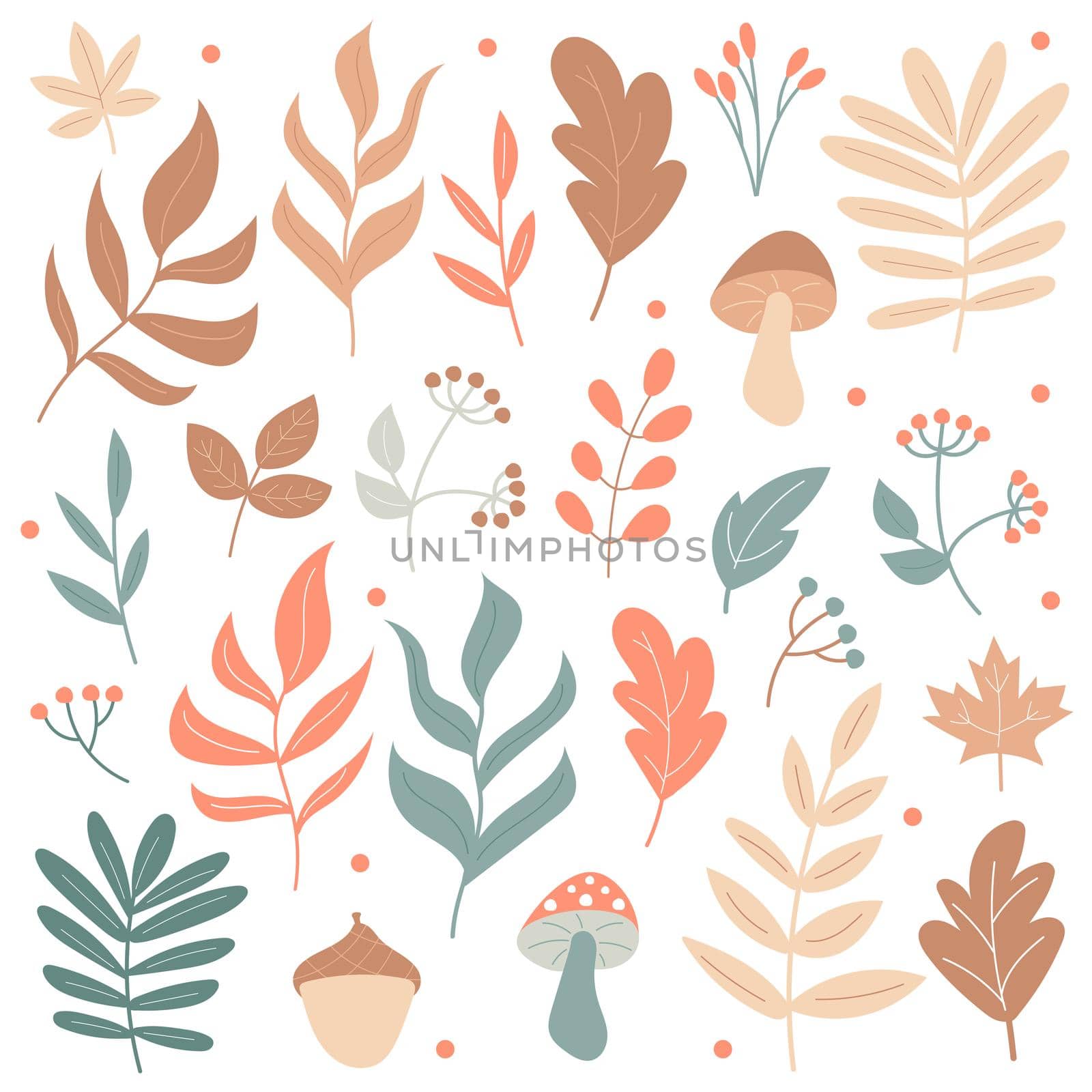 Big set of Autumn elements - mushrooms and plants - on a white background. Hand-drawn icons in pastel colors
