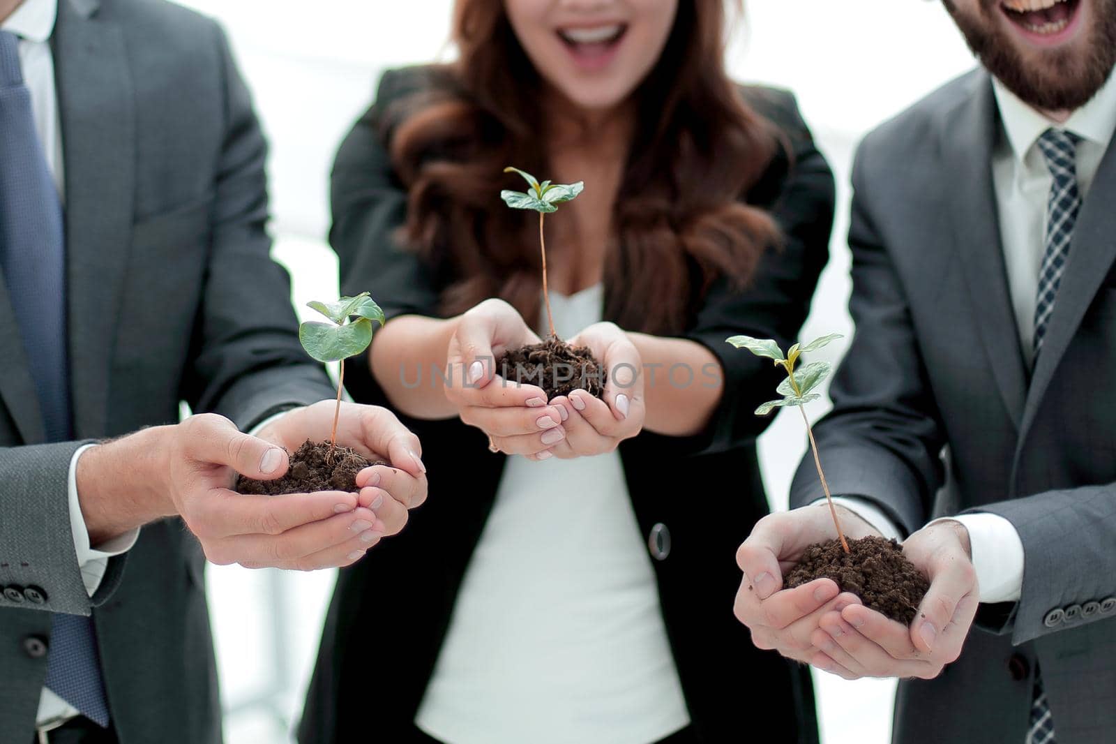 three colleagues look at the young shoots .eco-business concept