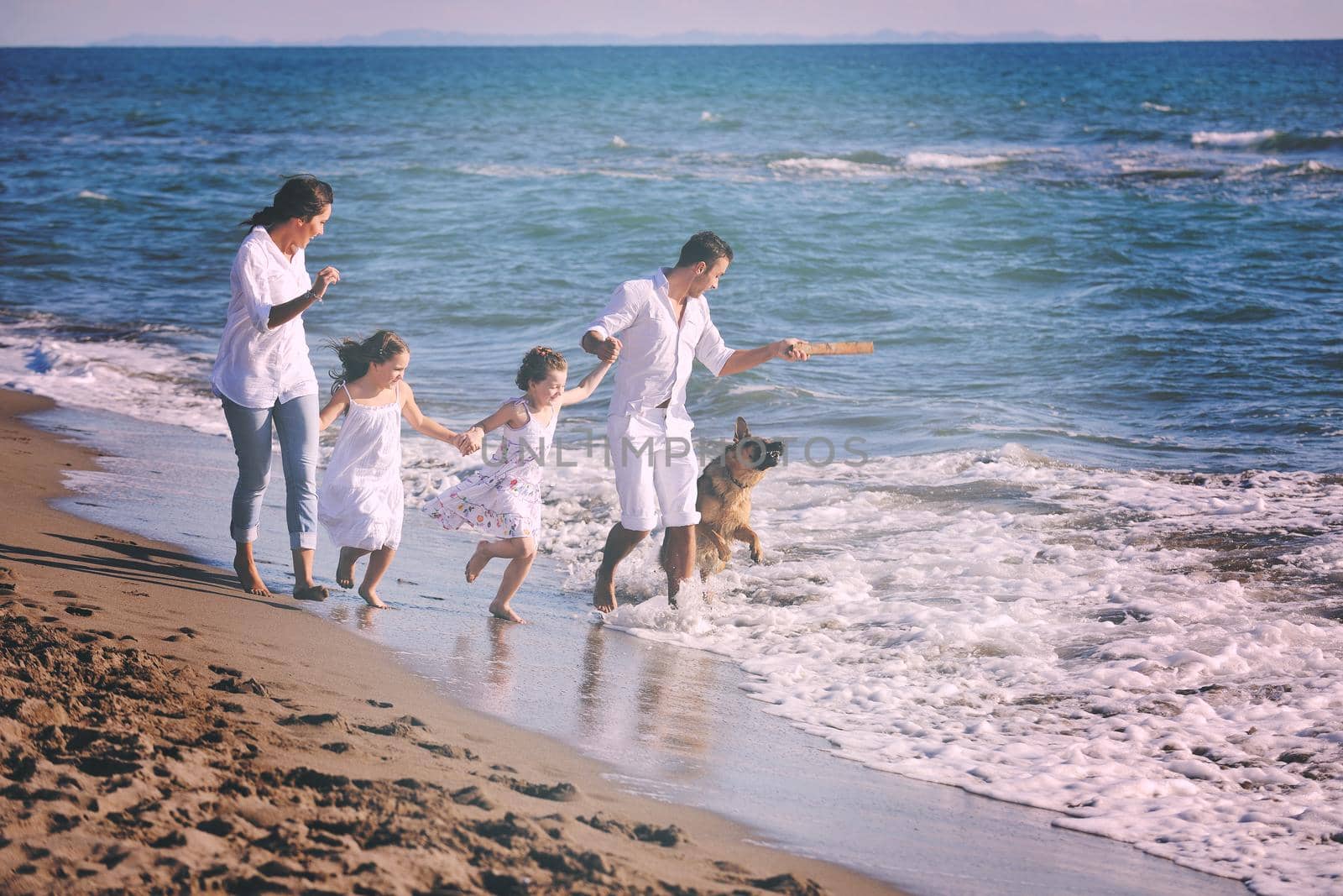 happy family playing with dog on beach by dotshock