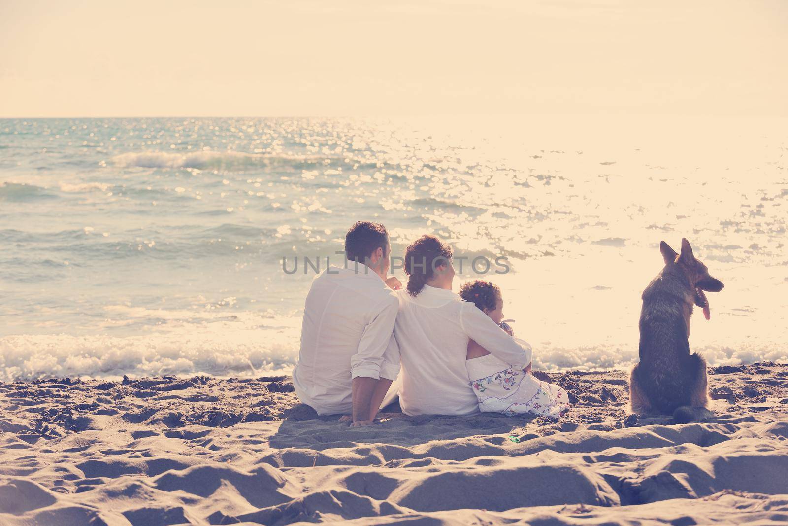 happy young family in white clothing have fun and play with beautiful dog at vacations on beautiful beach 