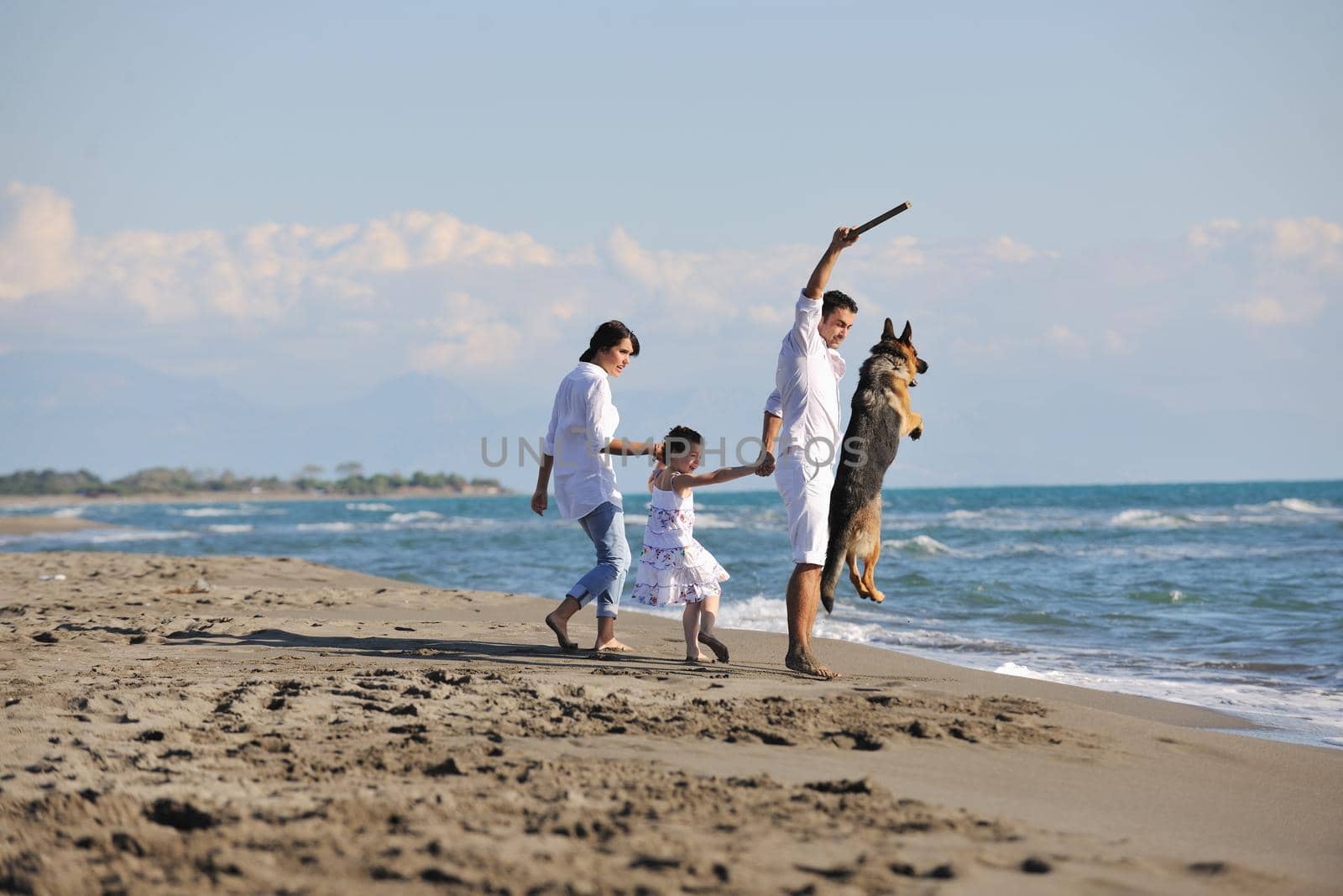 happy family playing with dog on beach by dotshock