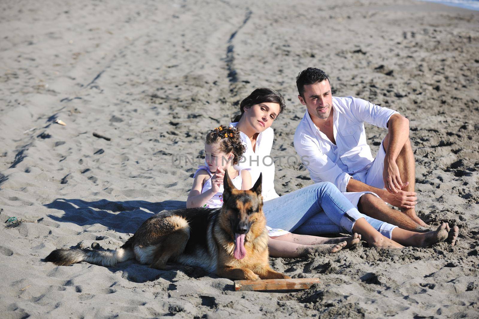 happy young family in white clothing have fun and play with beautiful dog at vacations on beautiful beach 