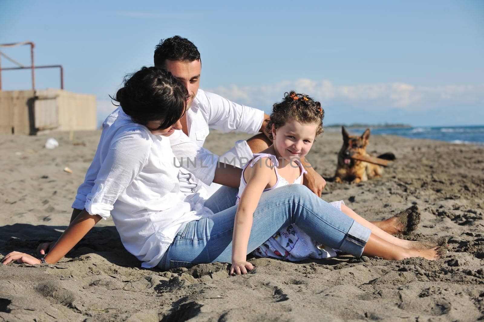 happy family playing with dog on beach by dotshock