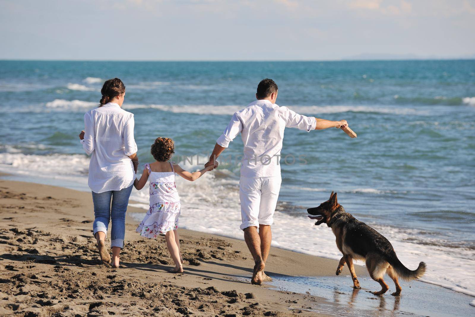 happy family playing with dog on beach by dotshock