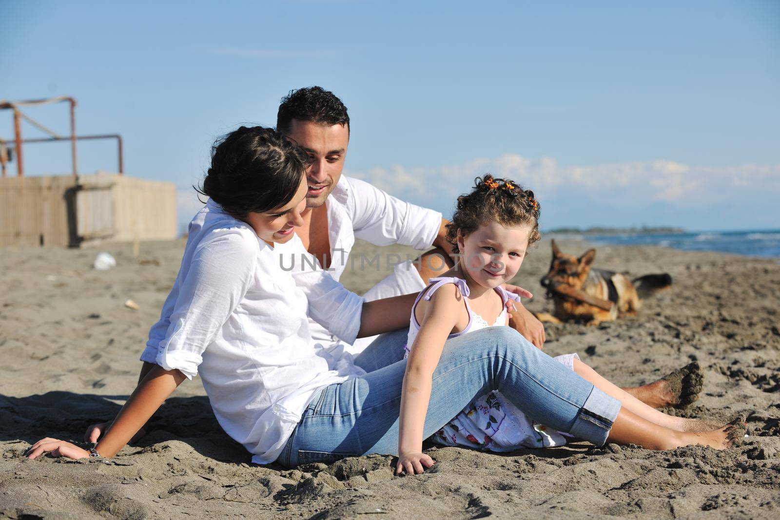 happy family playing with dog on beach by dotshock