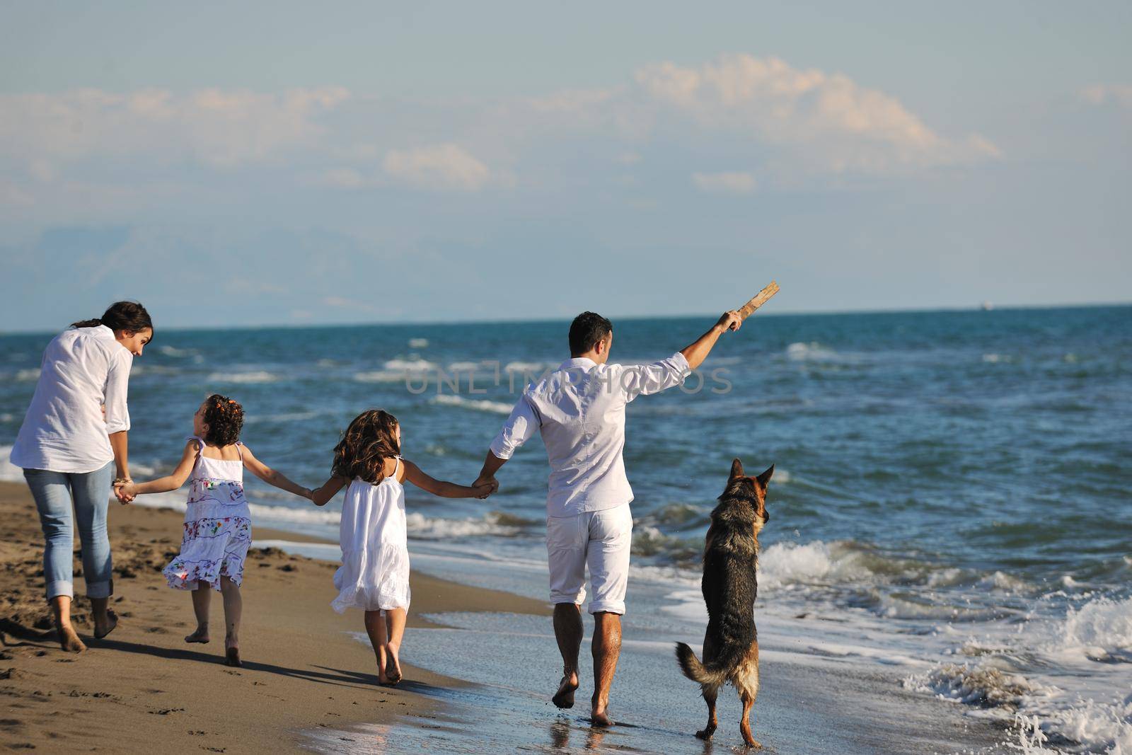 happy family playing with dog on beach by dotshock