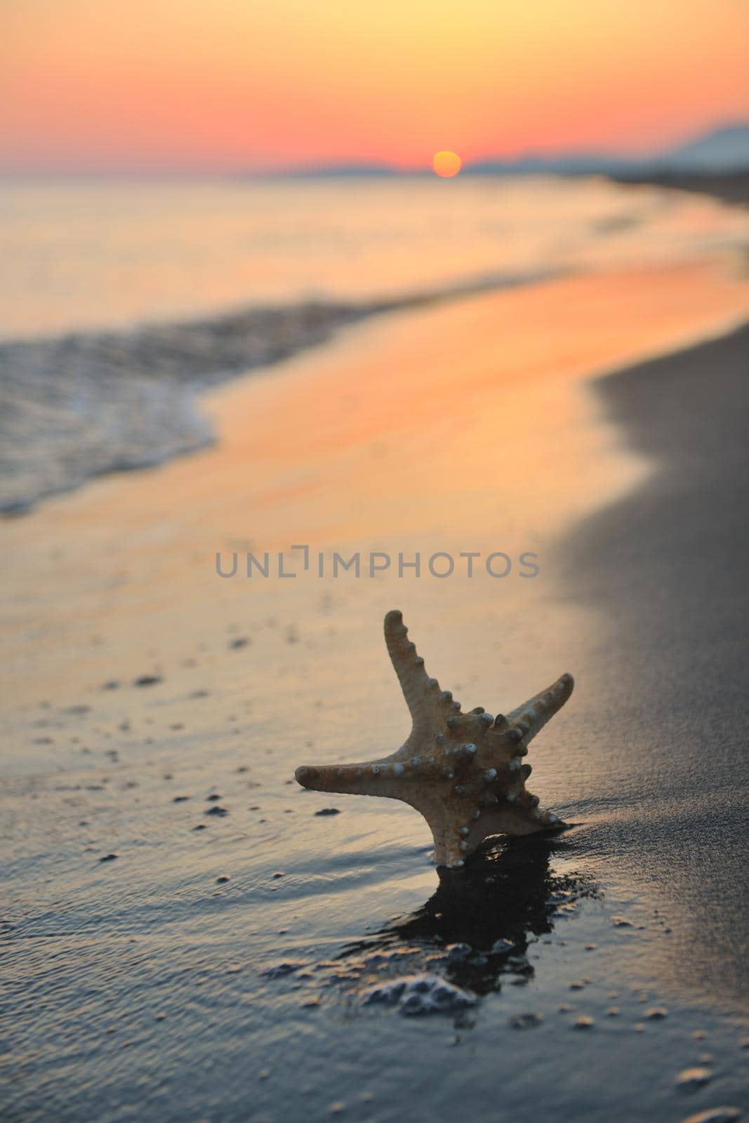 summer beach sunset with star on beach by dotshock