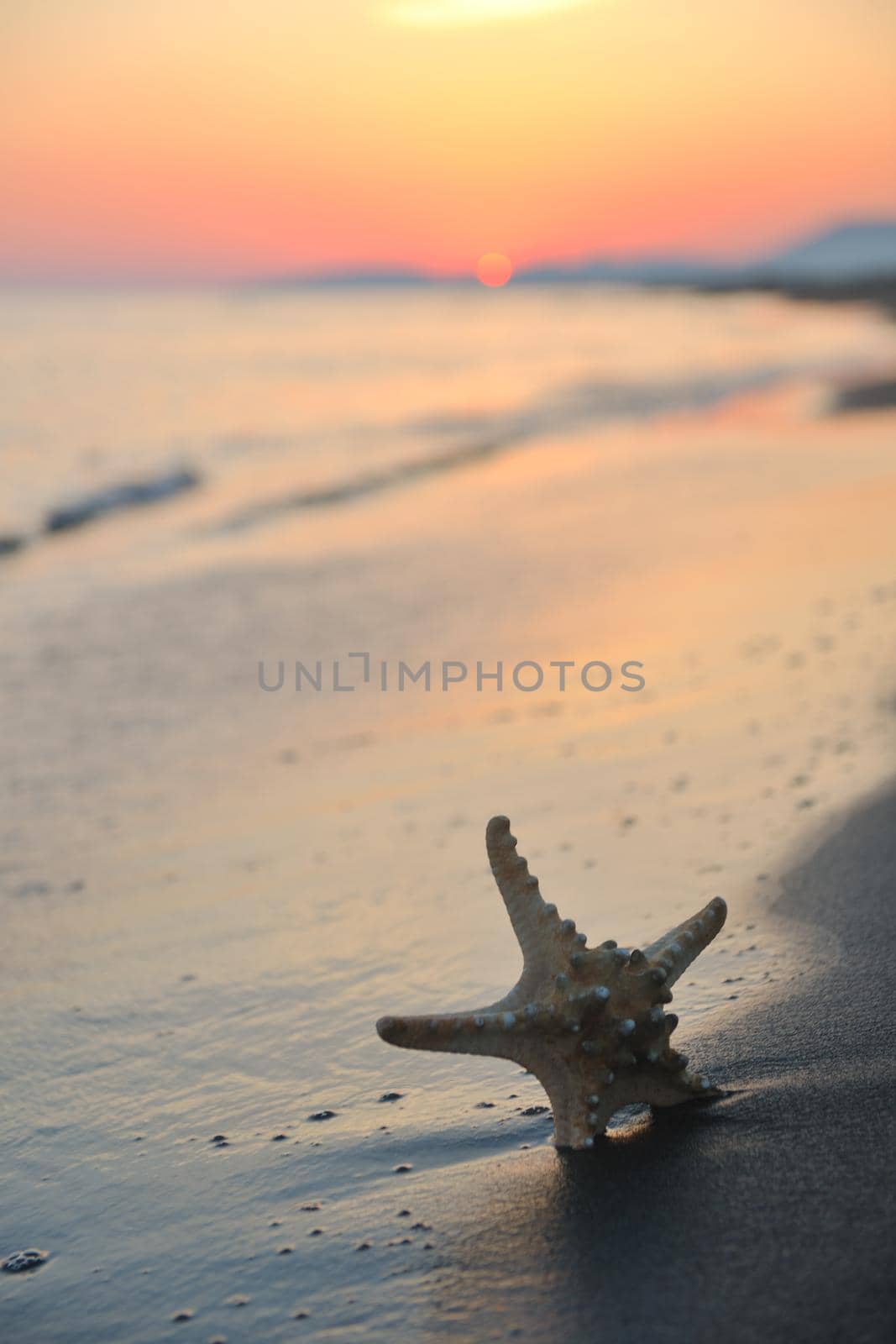 summer beach sunset with star on beach representing freedom freshnes and travel concept