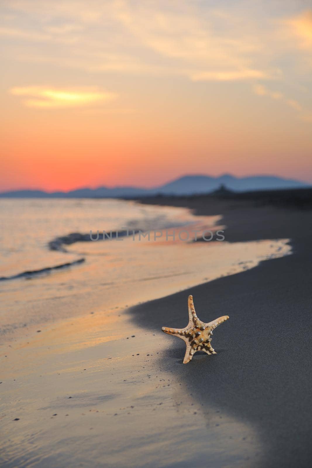 summer beach sunset with star on beach representing freedom freshnes and travel concept