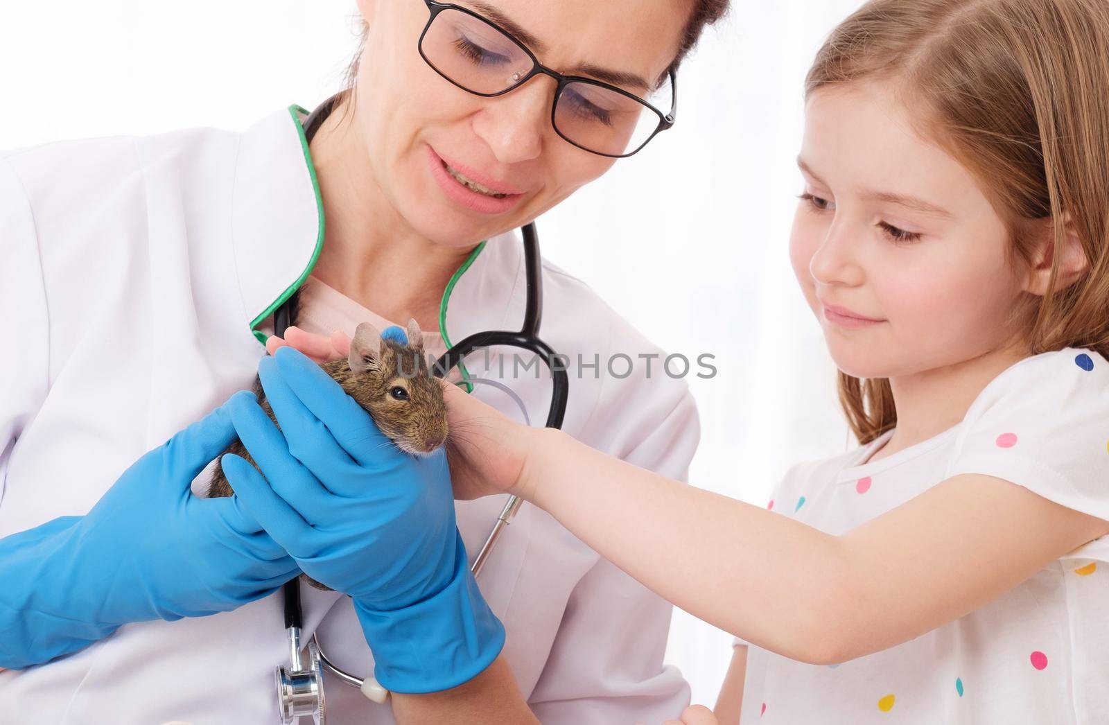 Pretty kid took her fluffy degu pet to professional veterinarian