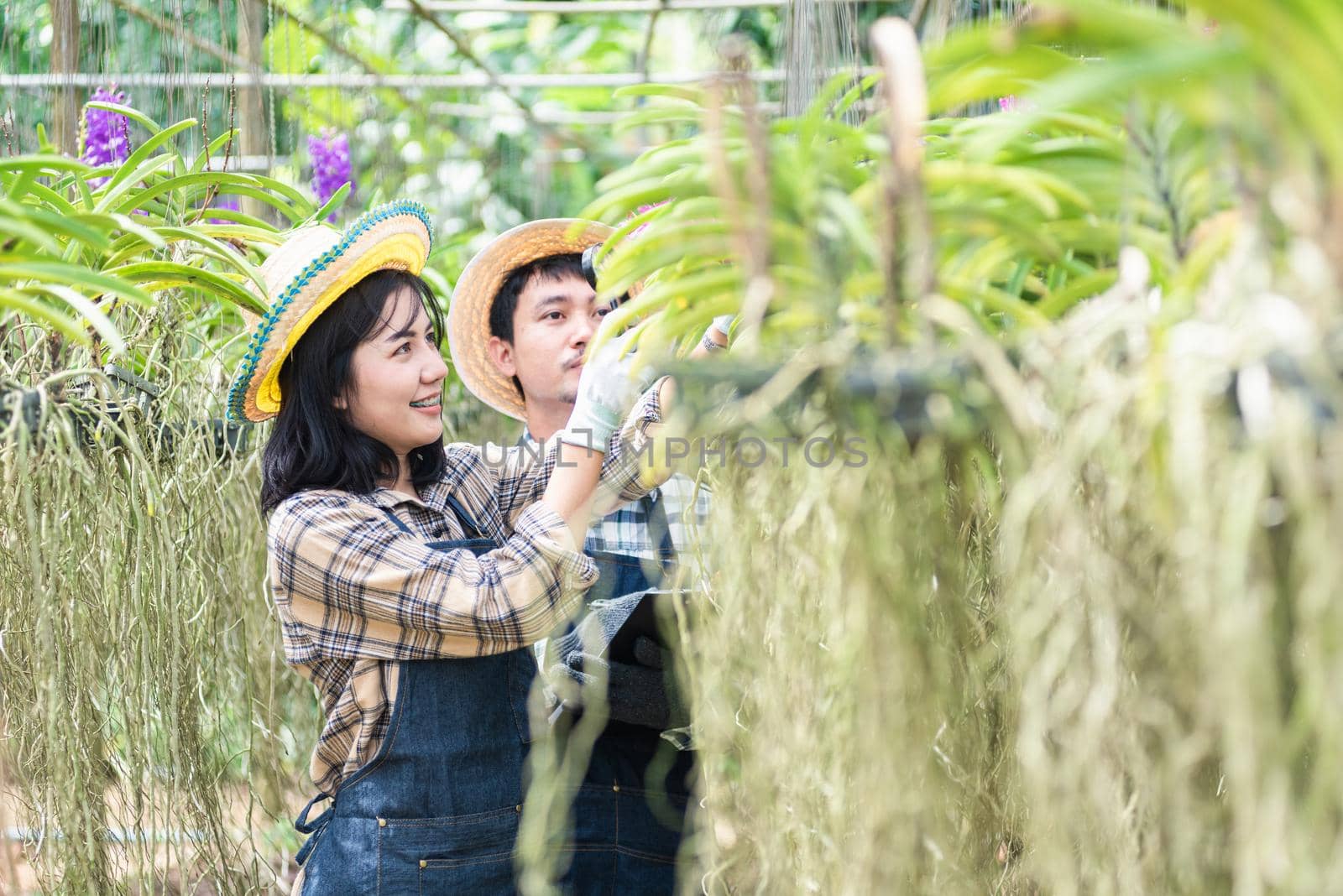 Young couple farmers checking their orchid gardening farm by Sorapop