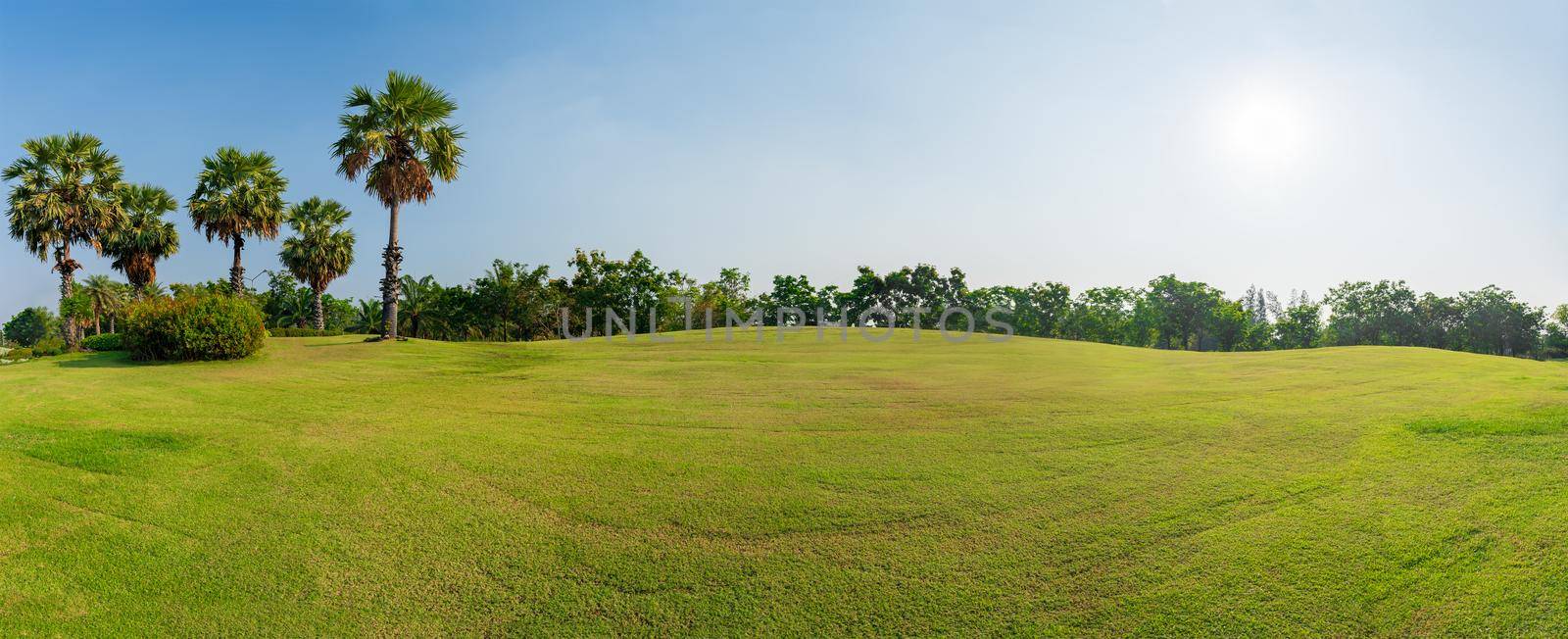Panorama green grass on a golf field ,Panorama green field landscape