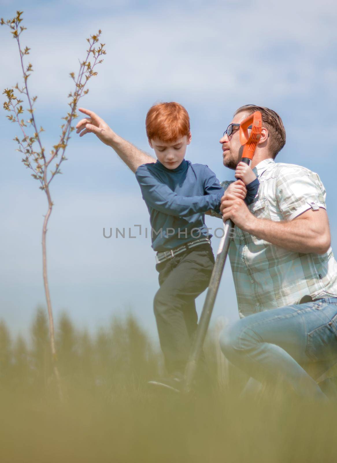 little son helps his father to plant a tree. work together