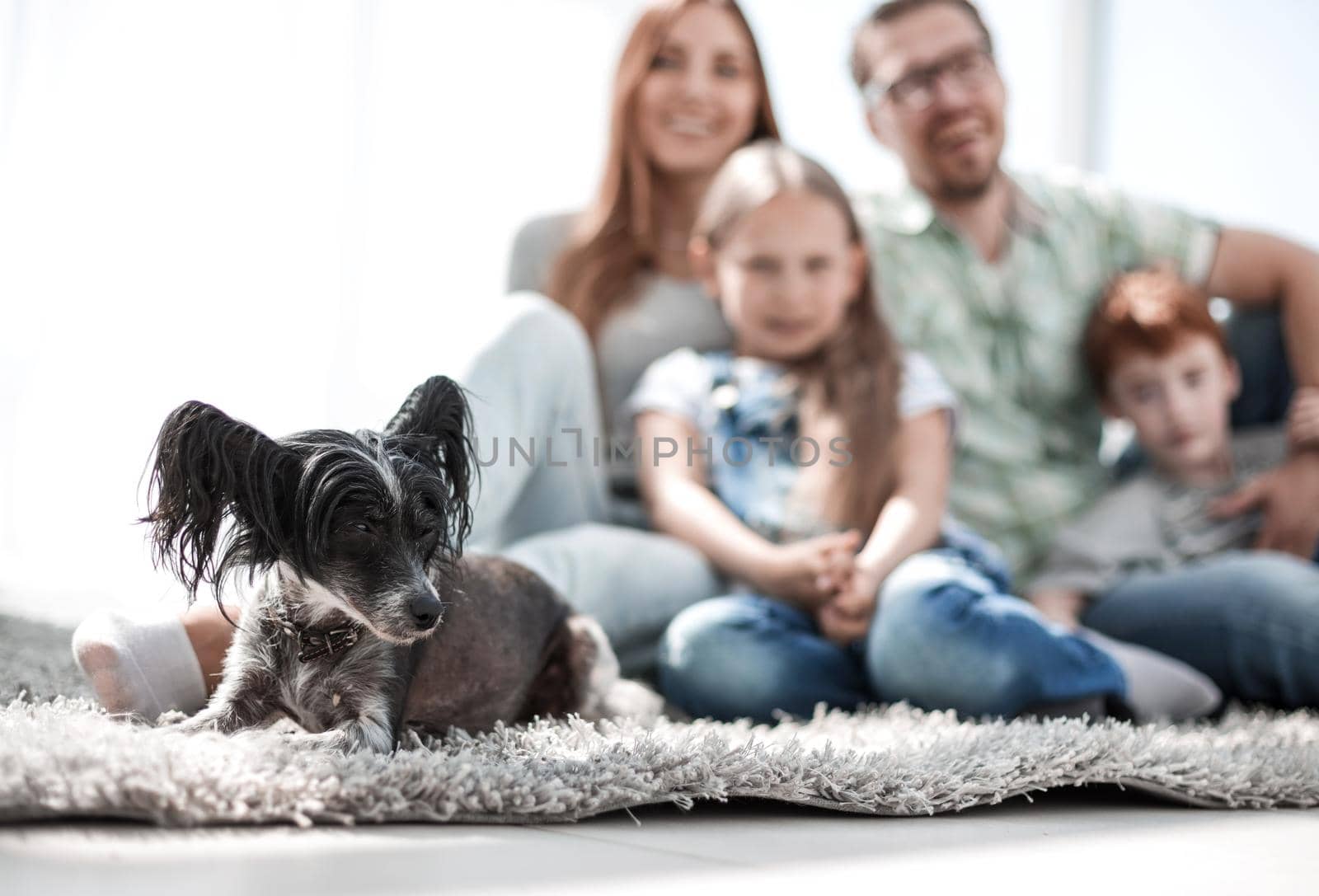 background image of happy family with pet.the concept of happiness