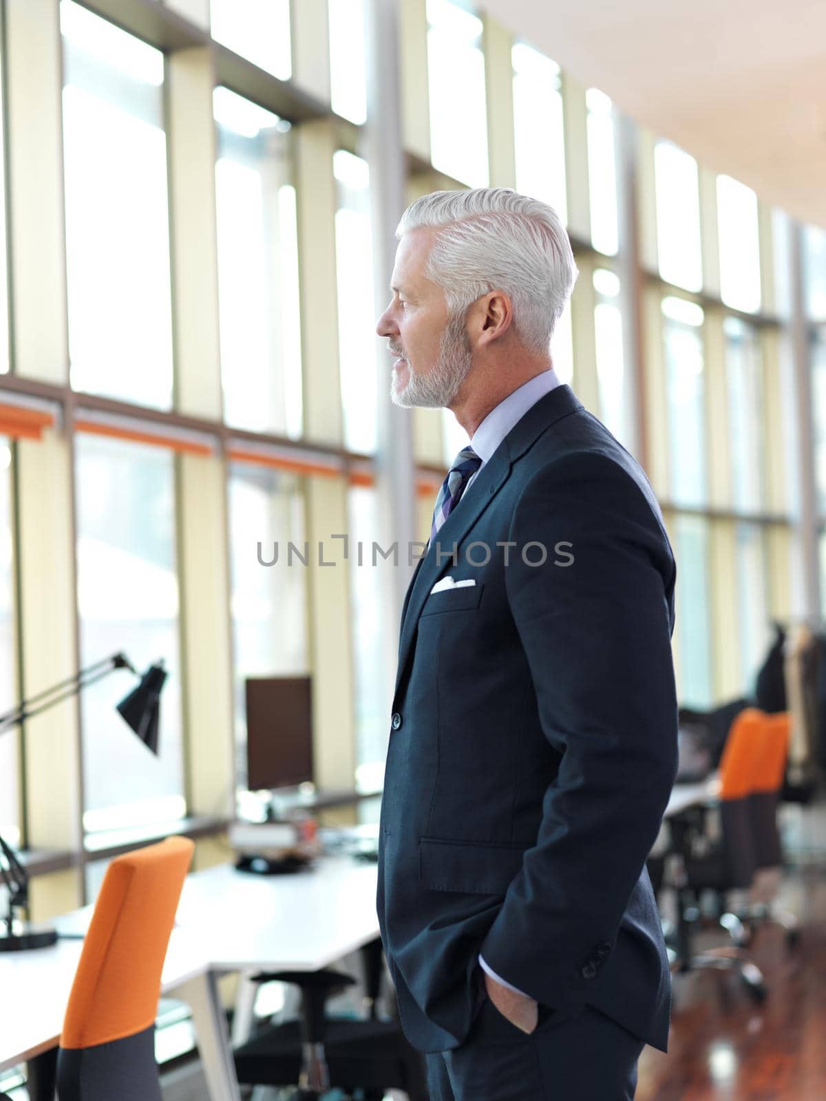 senior business man portrait by dotshock