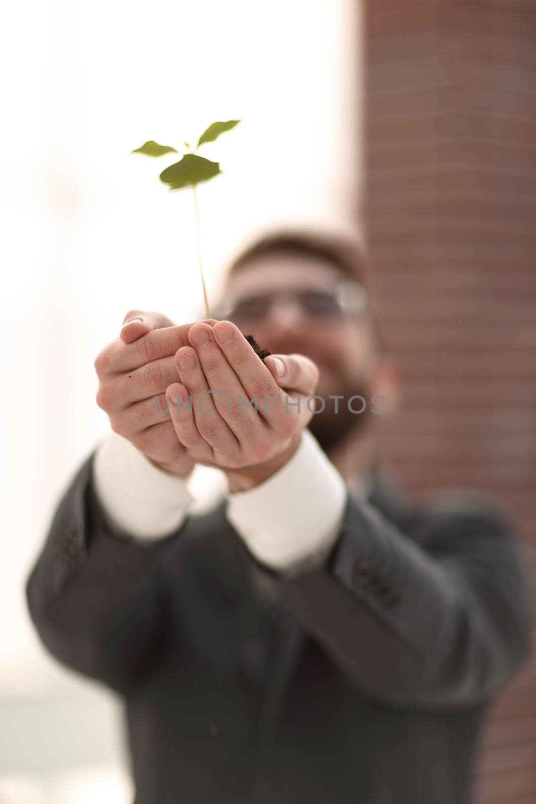 businessman with a sprout looking up by asdf