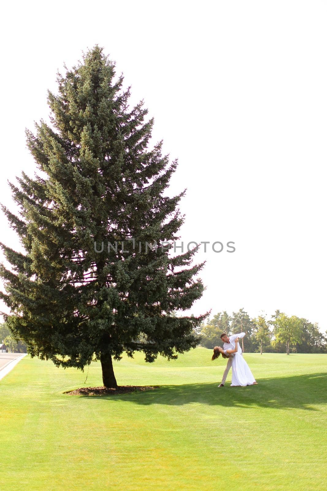 Young caucasian bride and groom walking near green big spruce on grass in white sky background. Concept of evergreens and wedding.