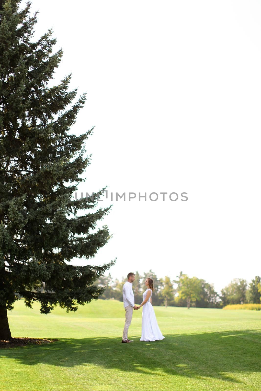 Young european bride and groom walking near green big spruce on grass in white sky background. by sisterspro