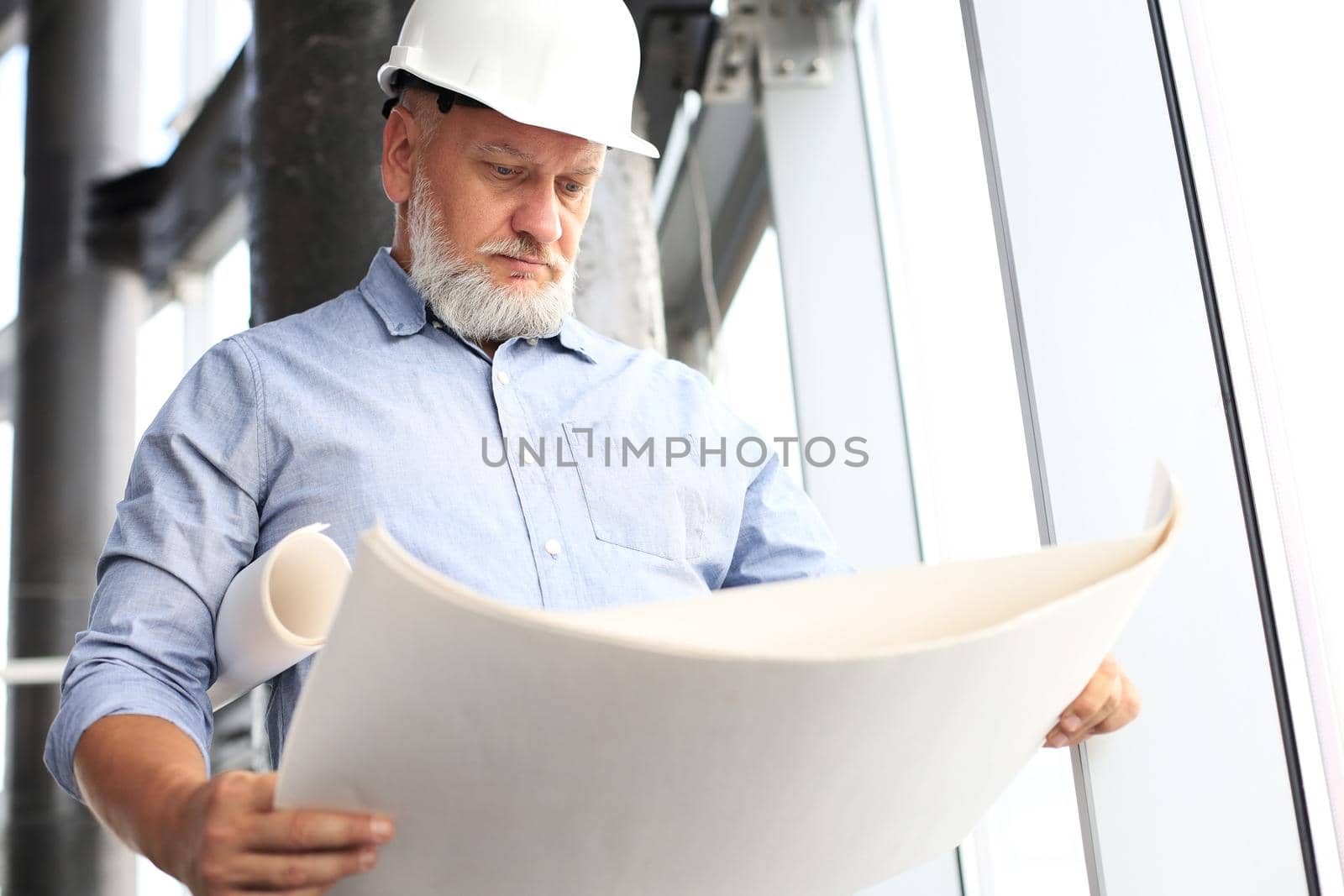 Confident mature architect in corporate suit and hardhat holding a blueprint and looking at it. by tsyhun