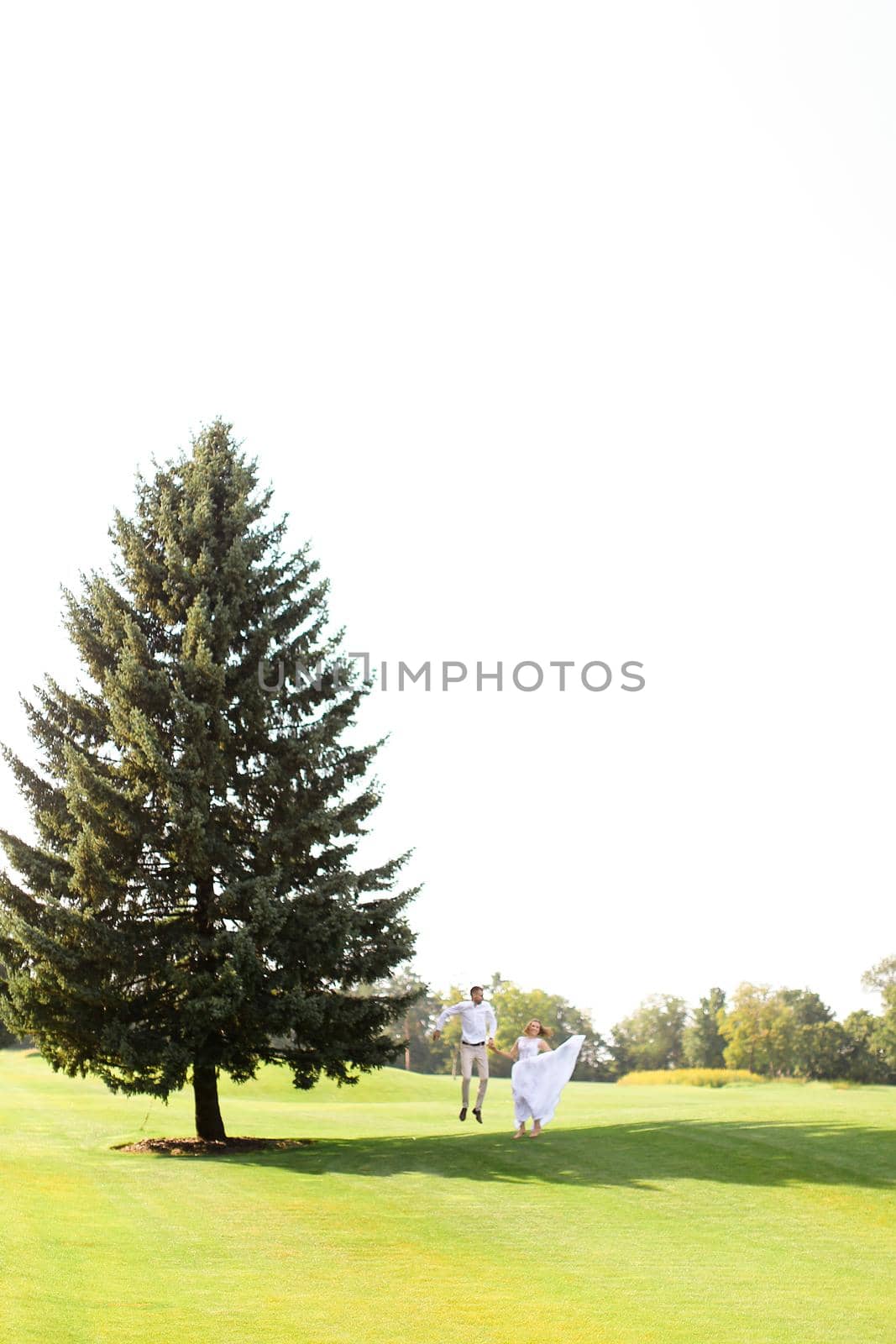 Young couple walking near green big spruce on grass in white sky background. Concept of evergreens and wedding.