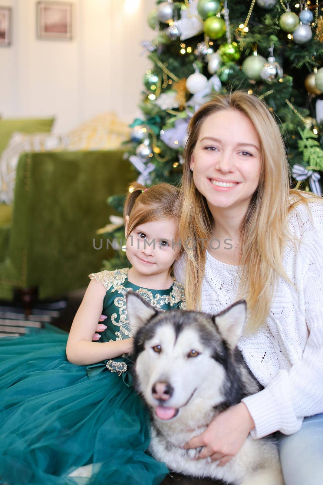 Young smiling woman sitting with little daughter and adult malamute near Christmas tree.