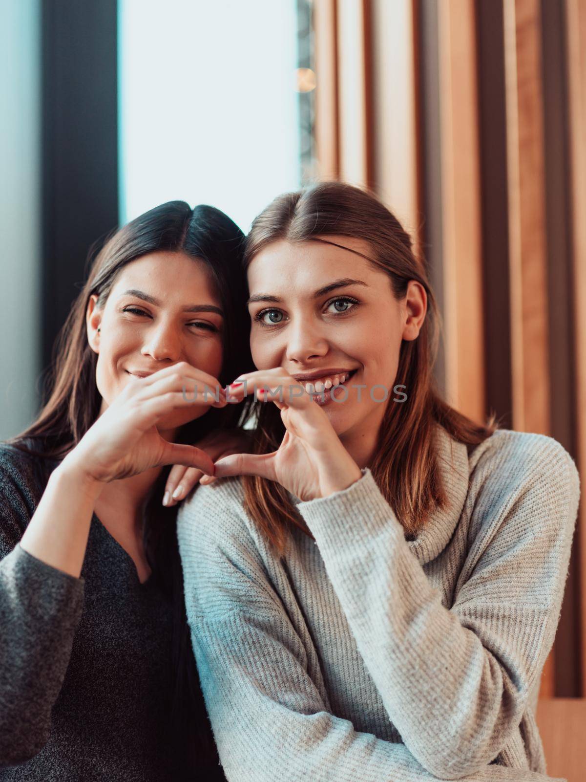 Diverse girls lesbian couple hugging looking at camera and showing heart symbol of love, close up portrait. Stylish cool generation z women dating in love enjoy romantic relationships. Lgbtq concept. 