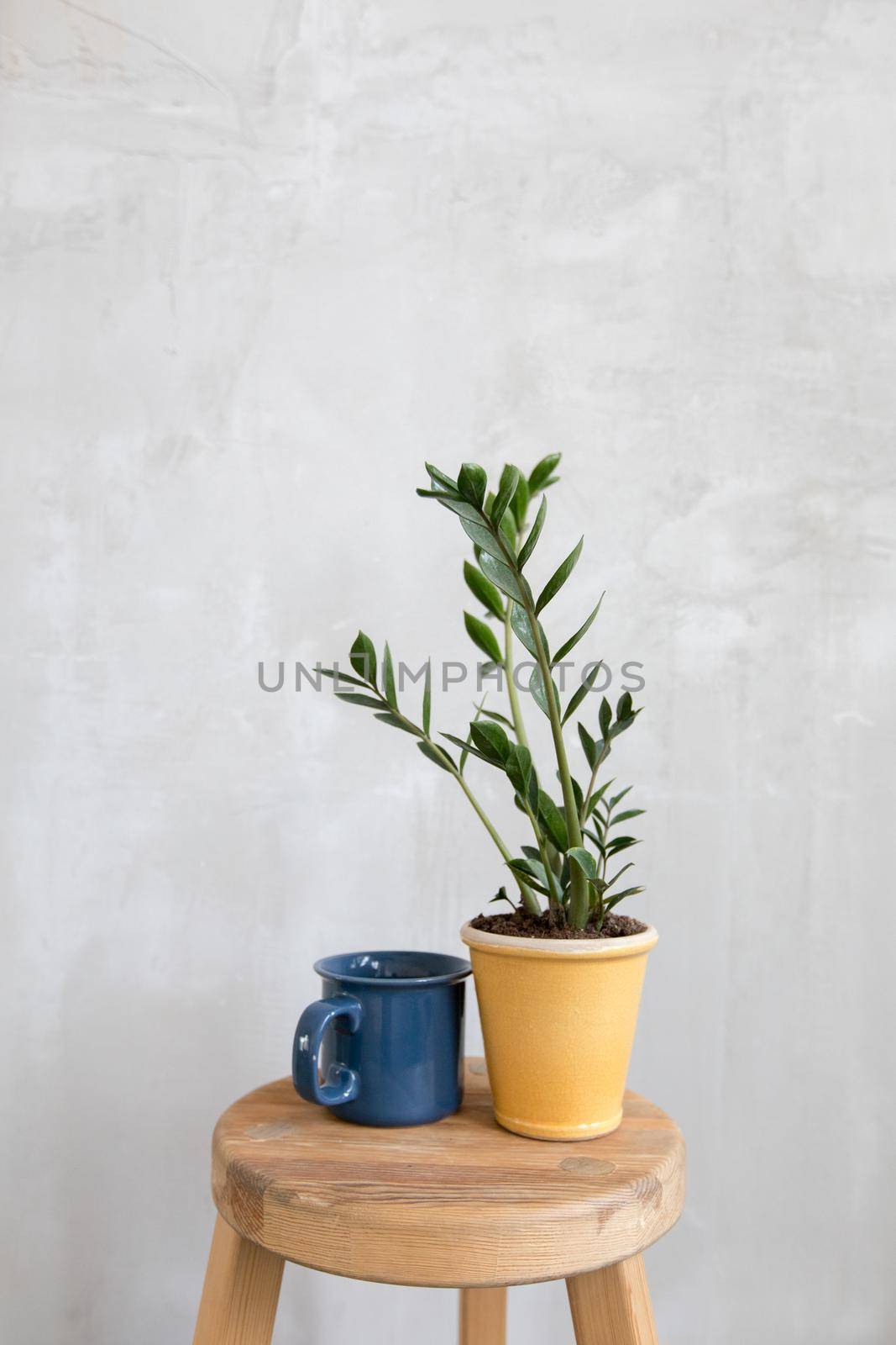 Composed flowerpot and mug by Demkat