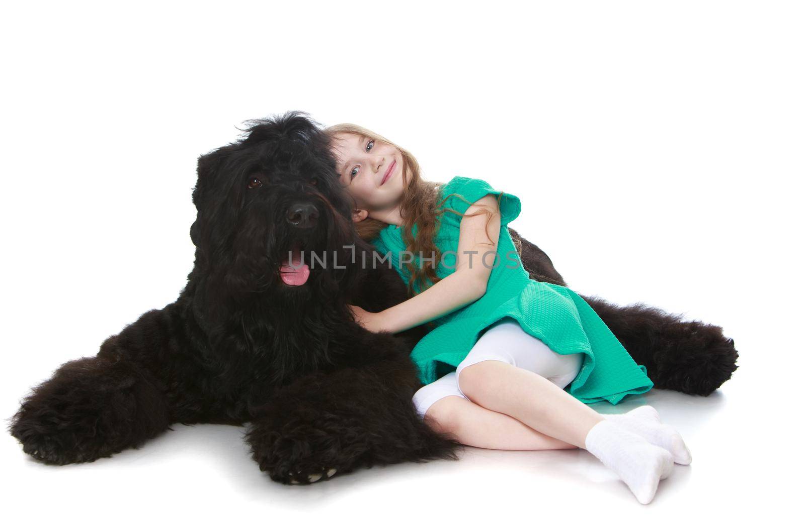 Cute little girl with long brown hair to her waist . Girl lying on the floor curled up with a big, black, shaggy dog - Isolated on white background