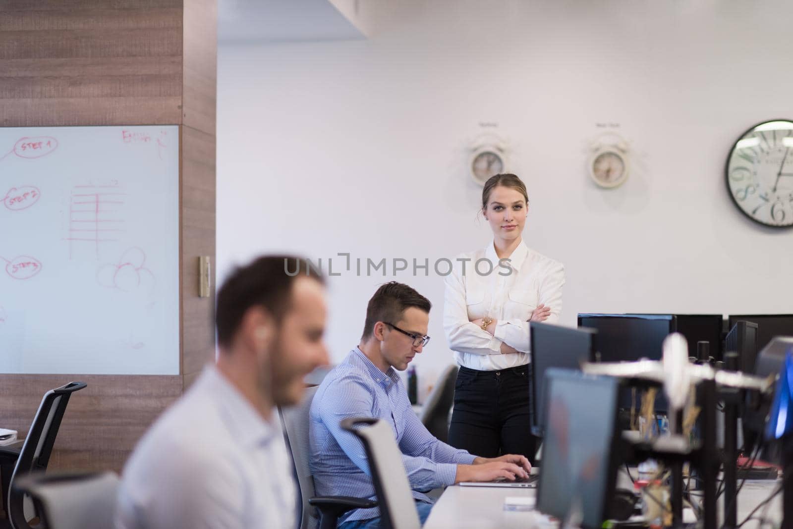 Portrait Of Successful Businesswoman Entrepreneur At Busy startup Office