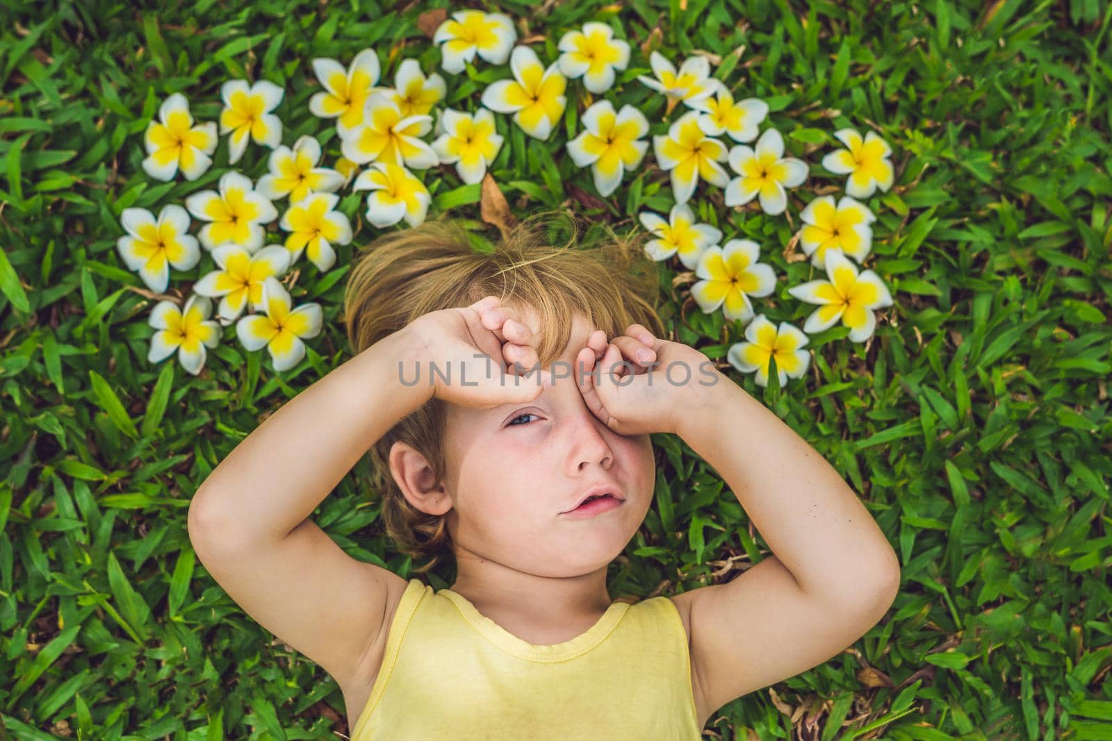 beautiful little boy lies on meadow with frangipani by galitskaya