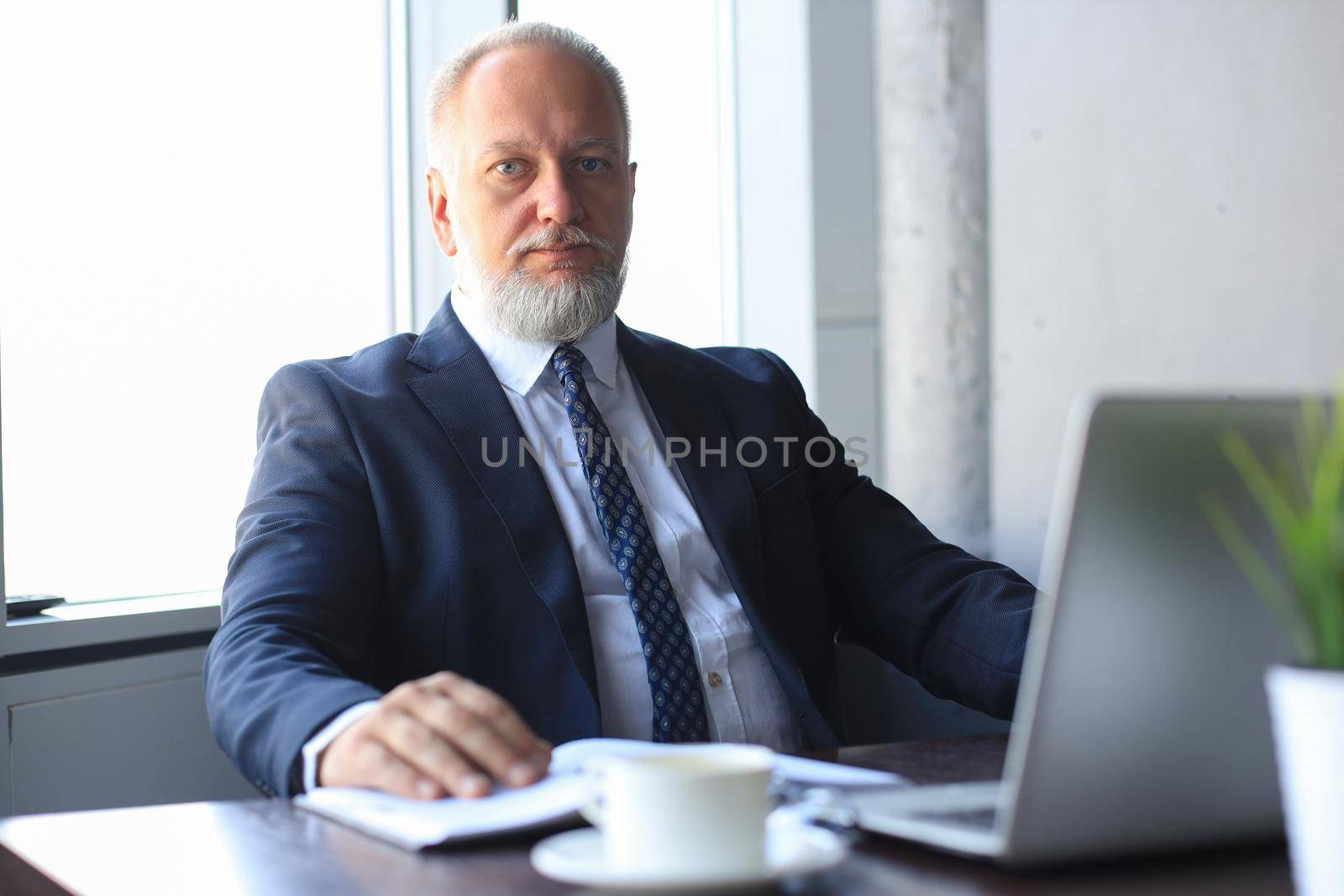 Senior man in office working on laptop computer in modern office