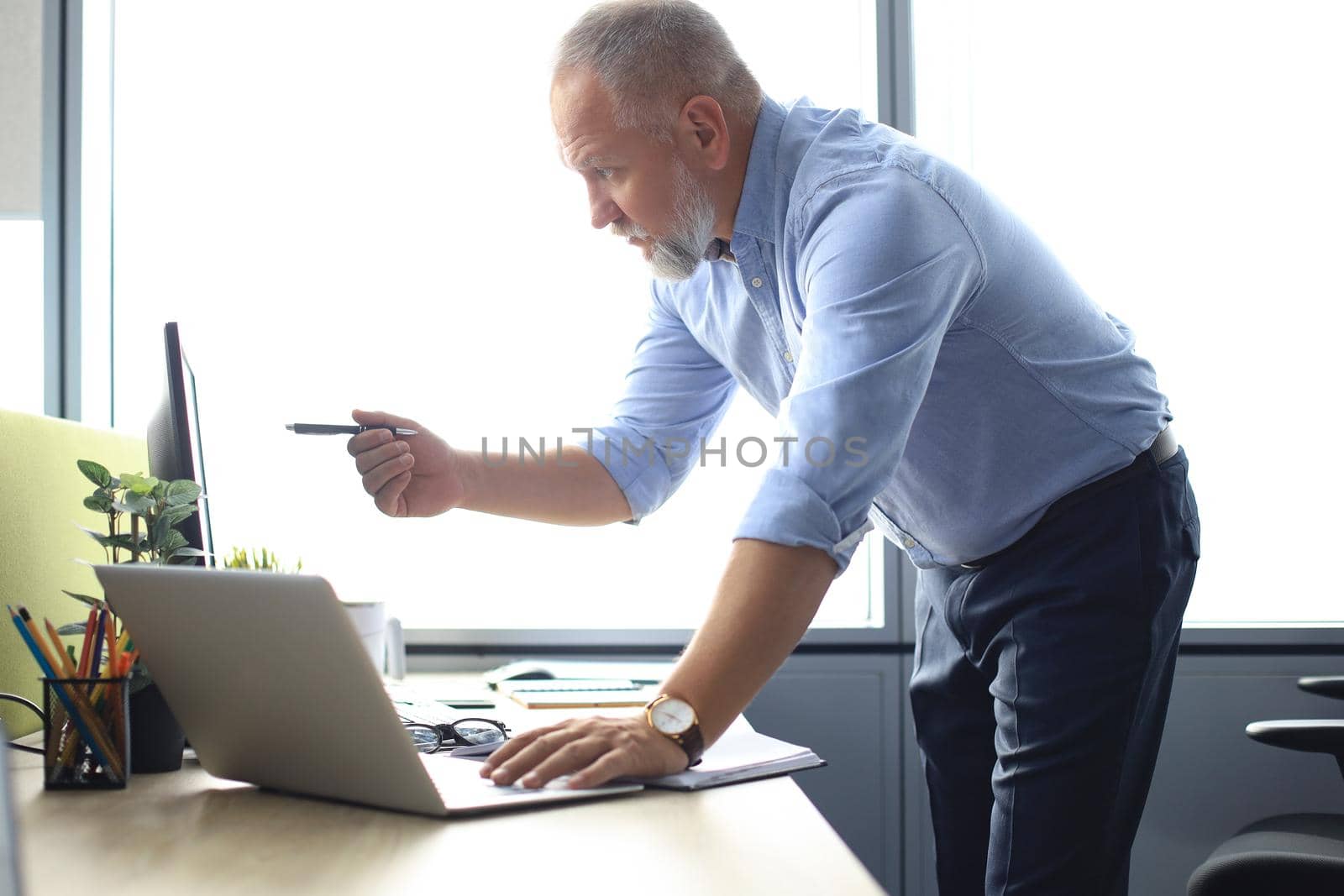 Elegant mature businessman analyzing data while working in office