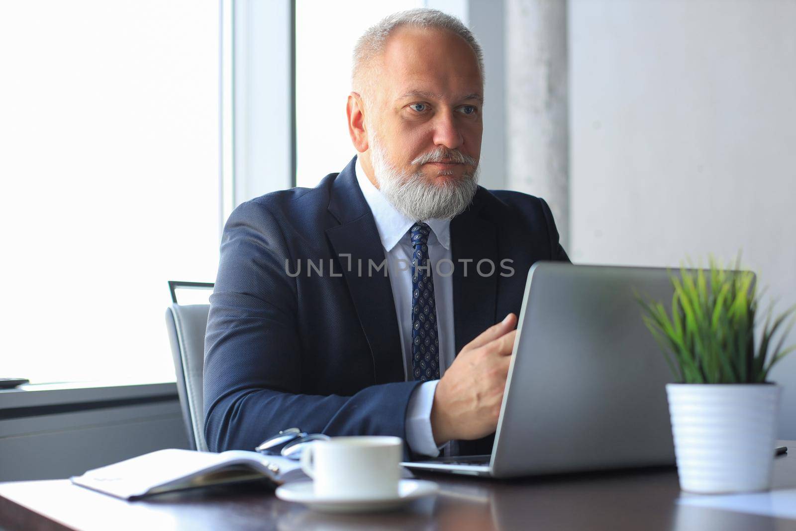 Senior man in office working on laptop computer in modern office