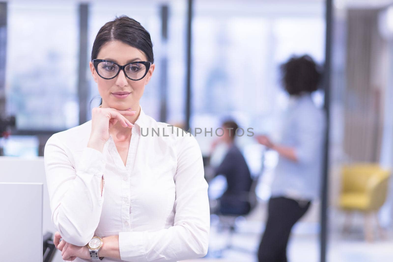 Portrait of successful Businesswoman by dotshock