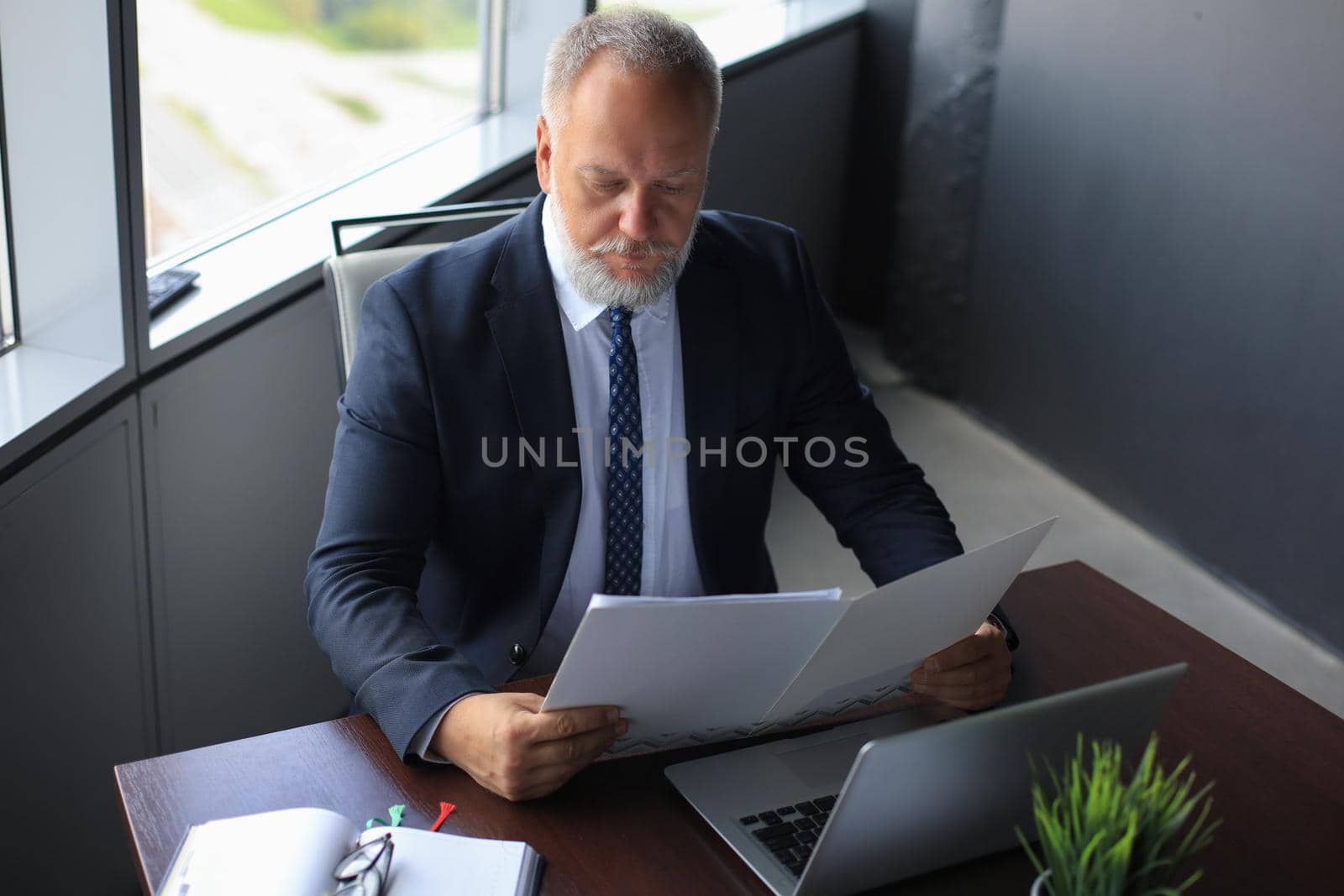 Serious mature business man in formalwear reading contract while sitting at the desk in the office