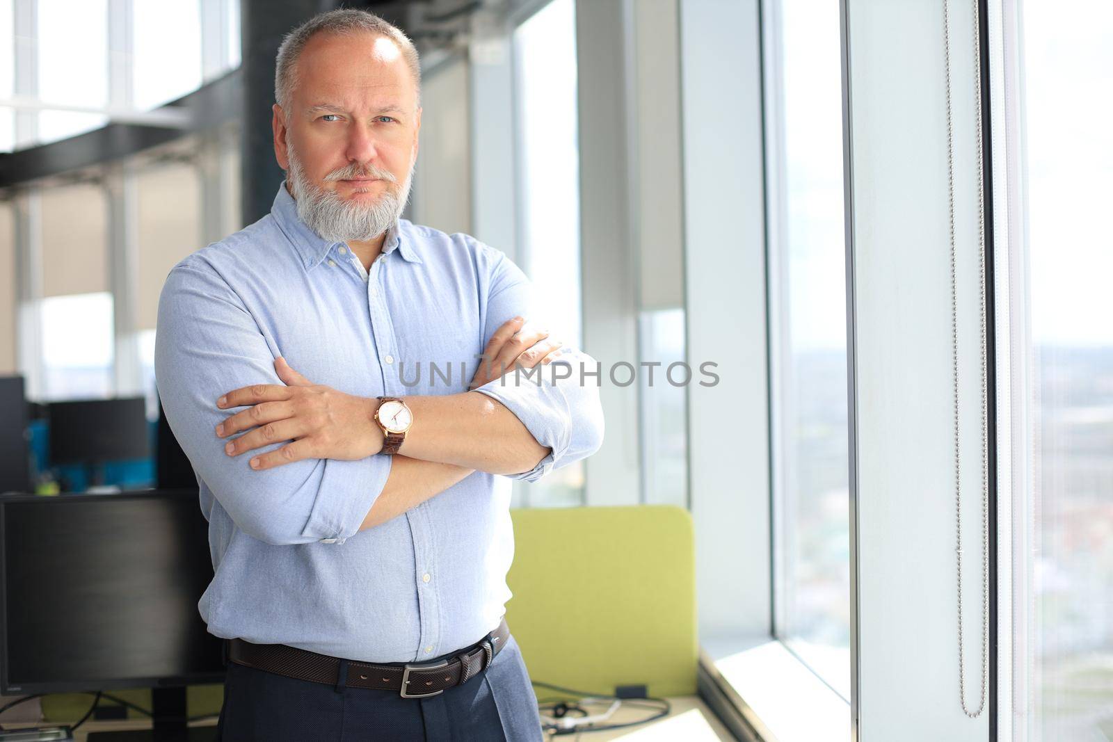 Confident pensive mature business man in modern office