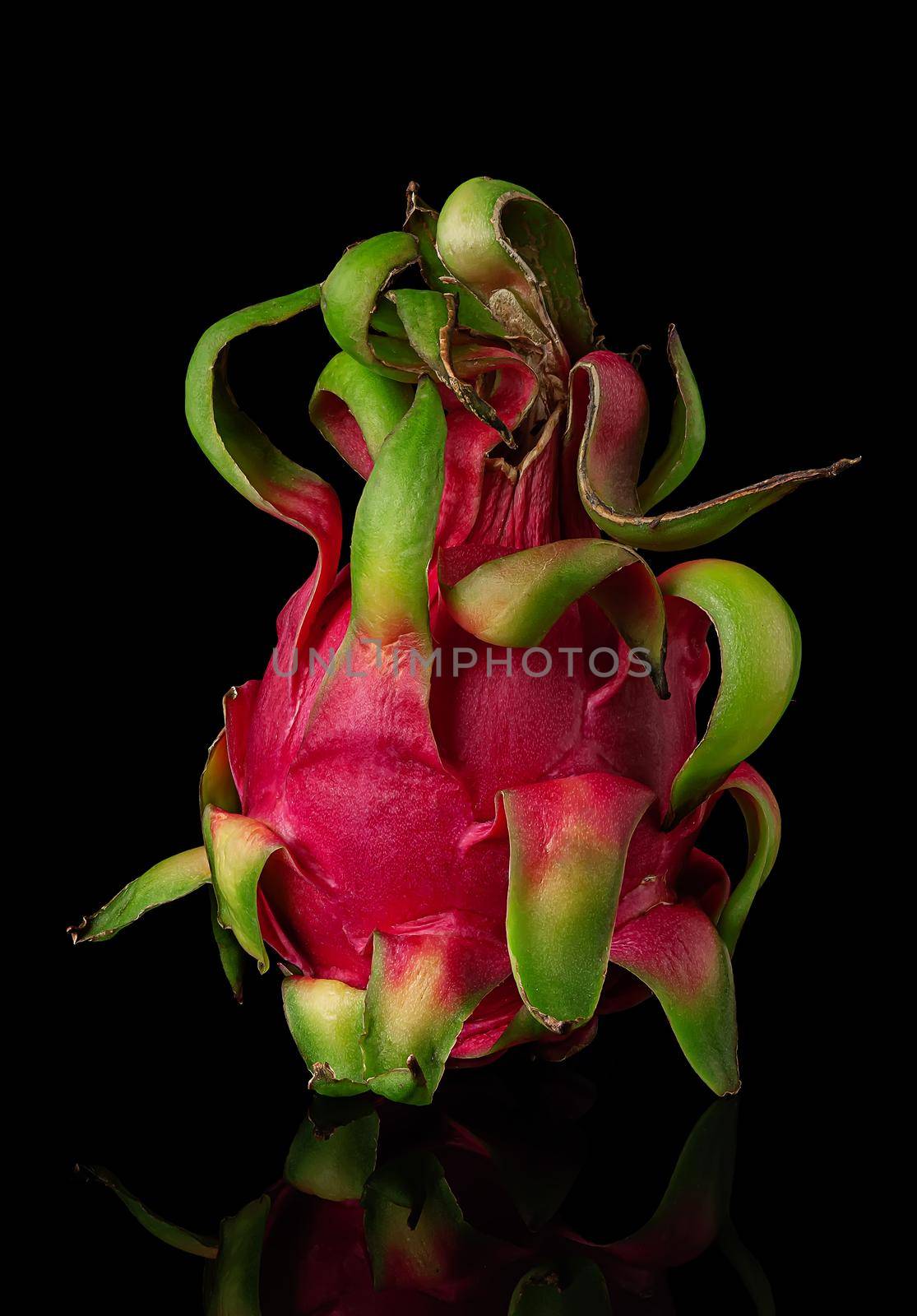 Dragon fruit vertically on black background with reflection