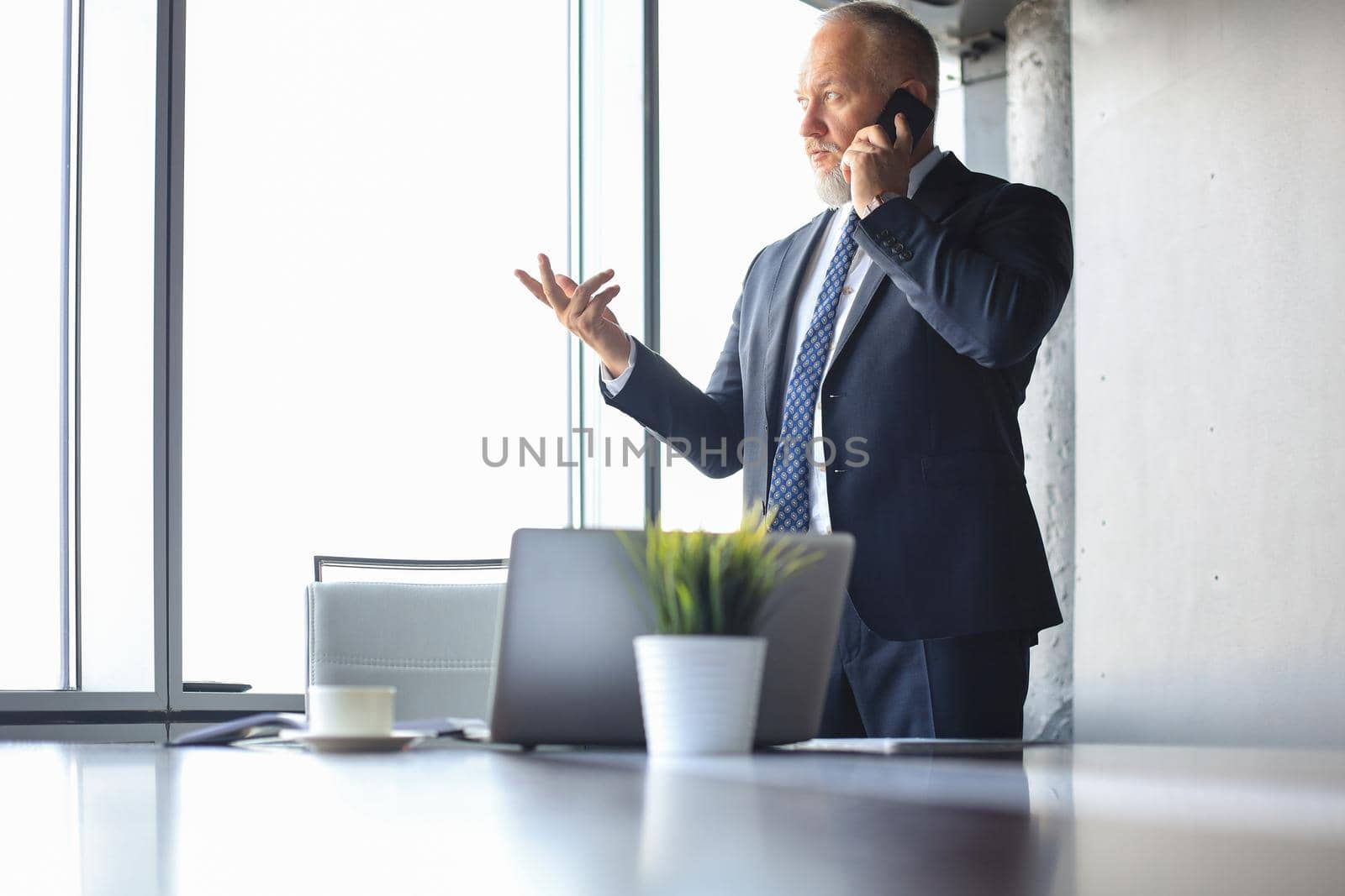 Mature businessman talking on a mobile phone standing near the window