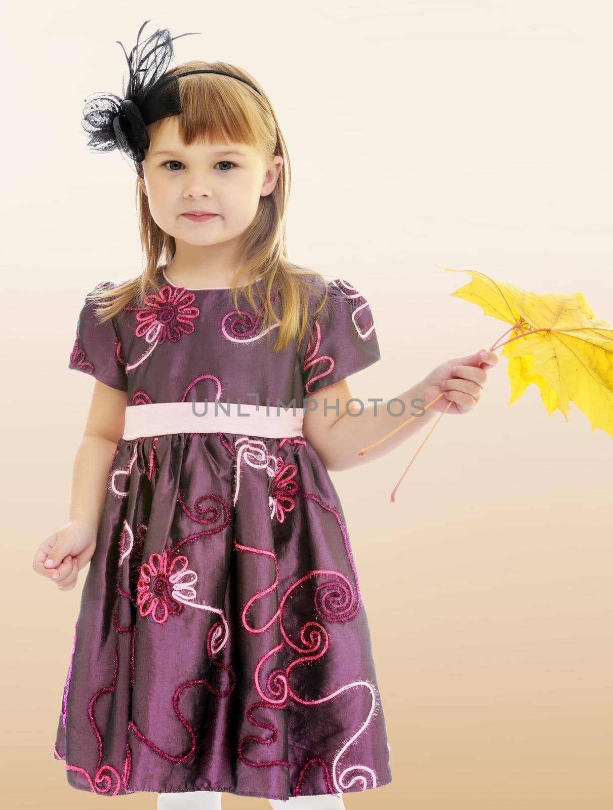 On a brown background a smooth transition from dark to light. Adorable little girl holding a maple leaf.