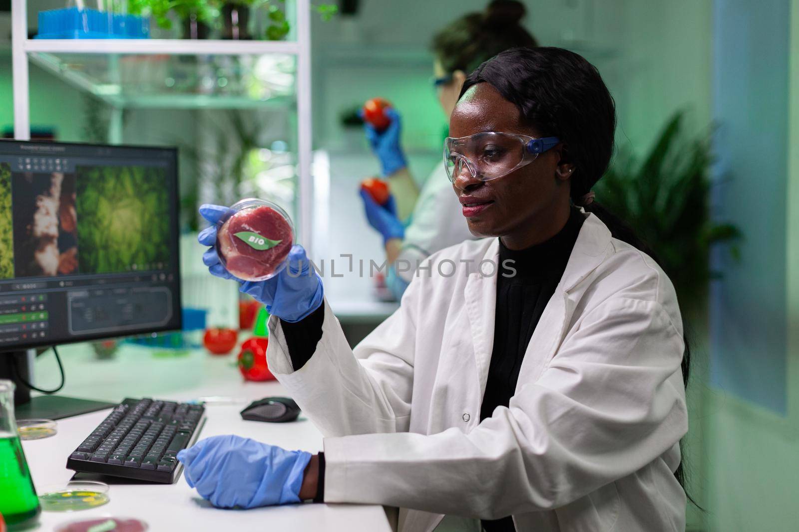 African american chemist researcher holding petri dish with vegan meat in hands working genetic mutation experiment. Scientist doctor examining genetically modified beef in hospital lab