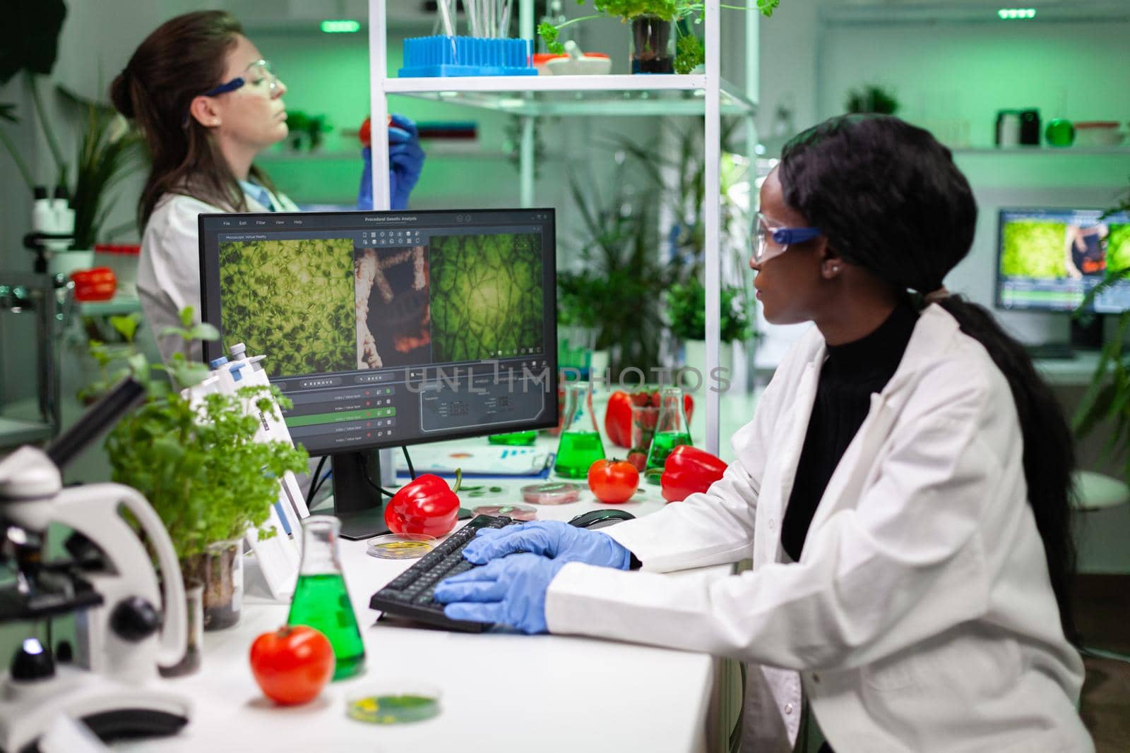 African american chemist researcher typing microbiology expertise on computer working in biologica agriculturel hospital laboratory. Scientist doctor woman analyzing genetically modified fruits