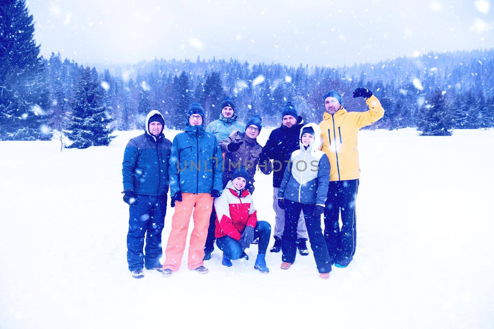 portrait of group young people in beautiful winter landscape by dotshock