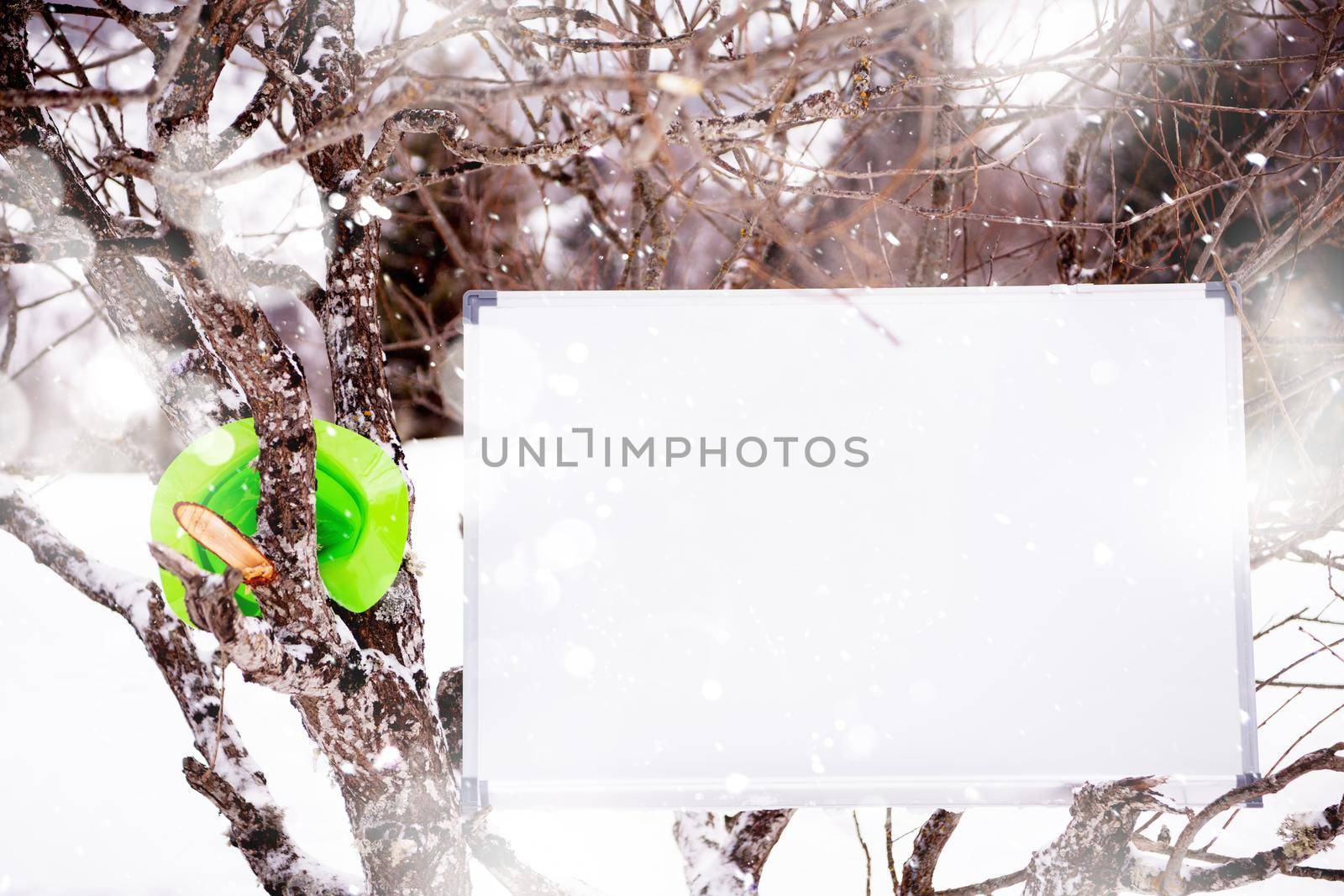 copy space whiteboard on tree with snowflakes around during snowy winter day in the mountain forest