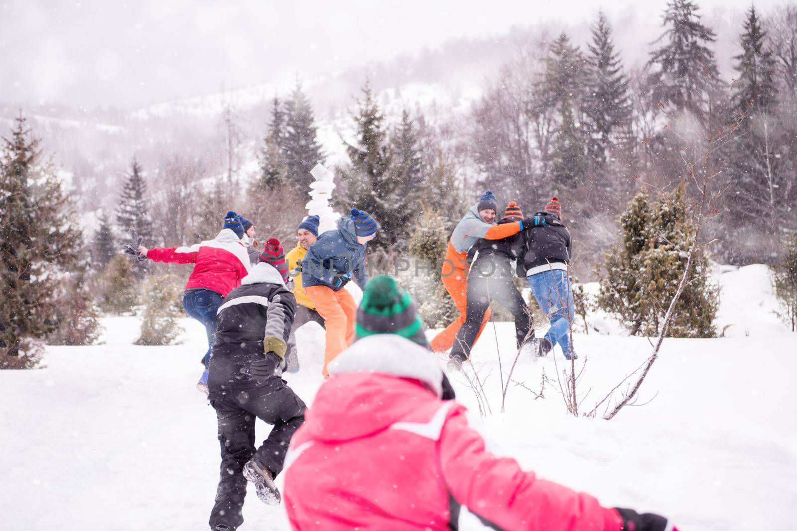 group of young happy business people having fun while enjoying snowy winter day with snowflakes around them during a team building in the mountain forest